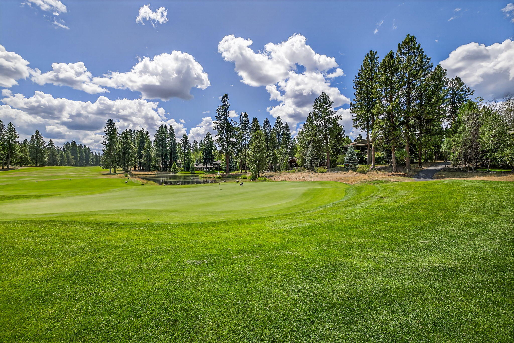 61712 Broken Top Drive