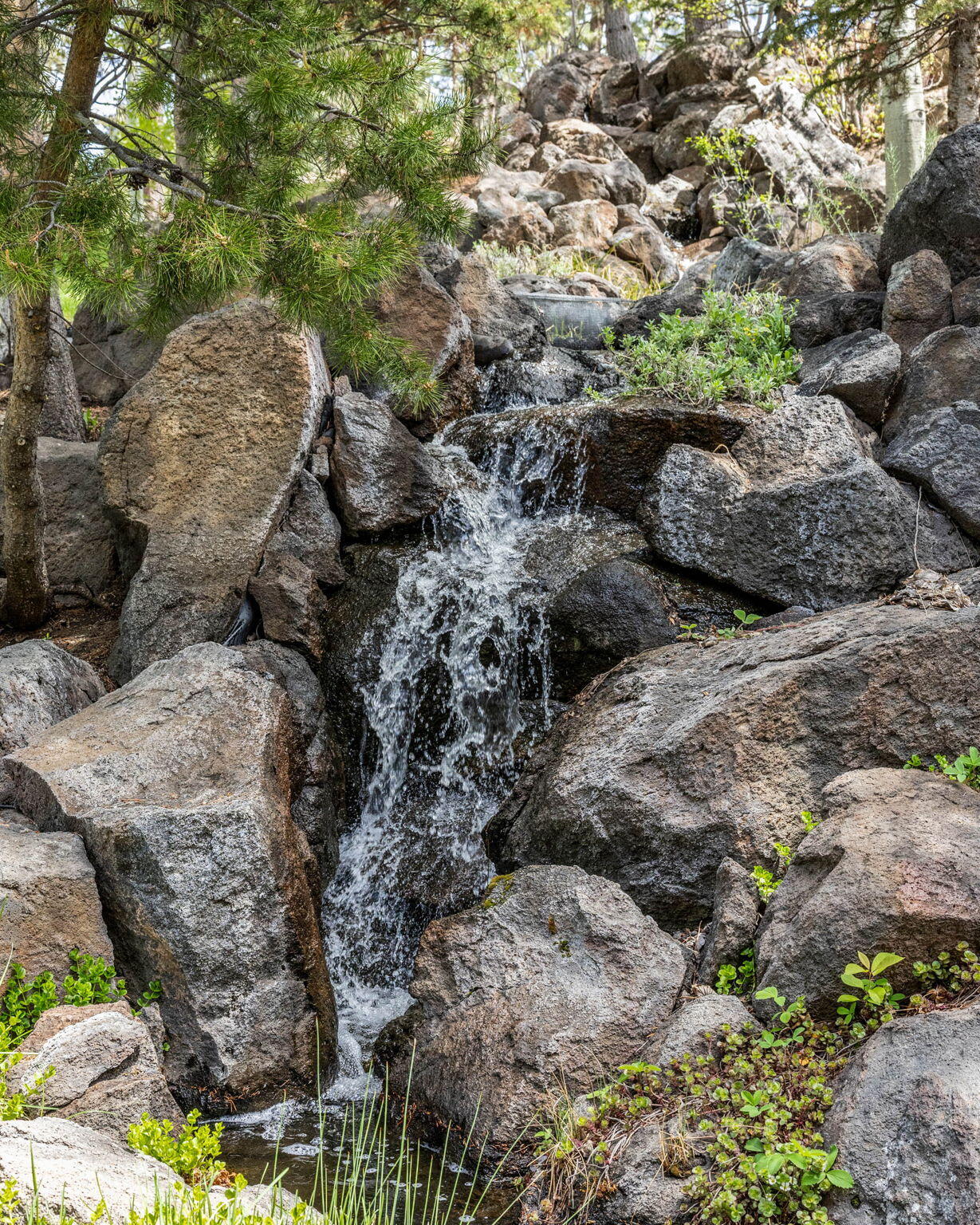 1748 NW Farewell Drive