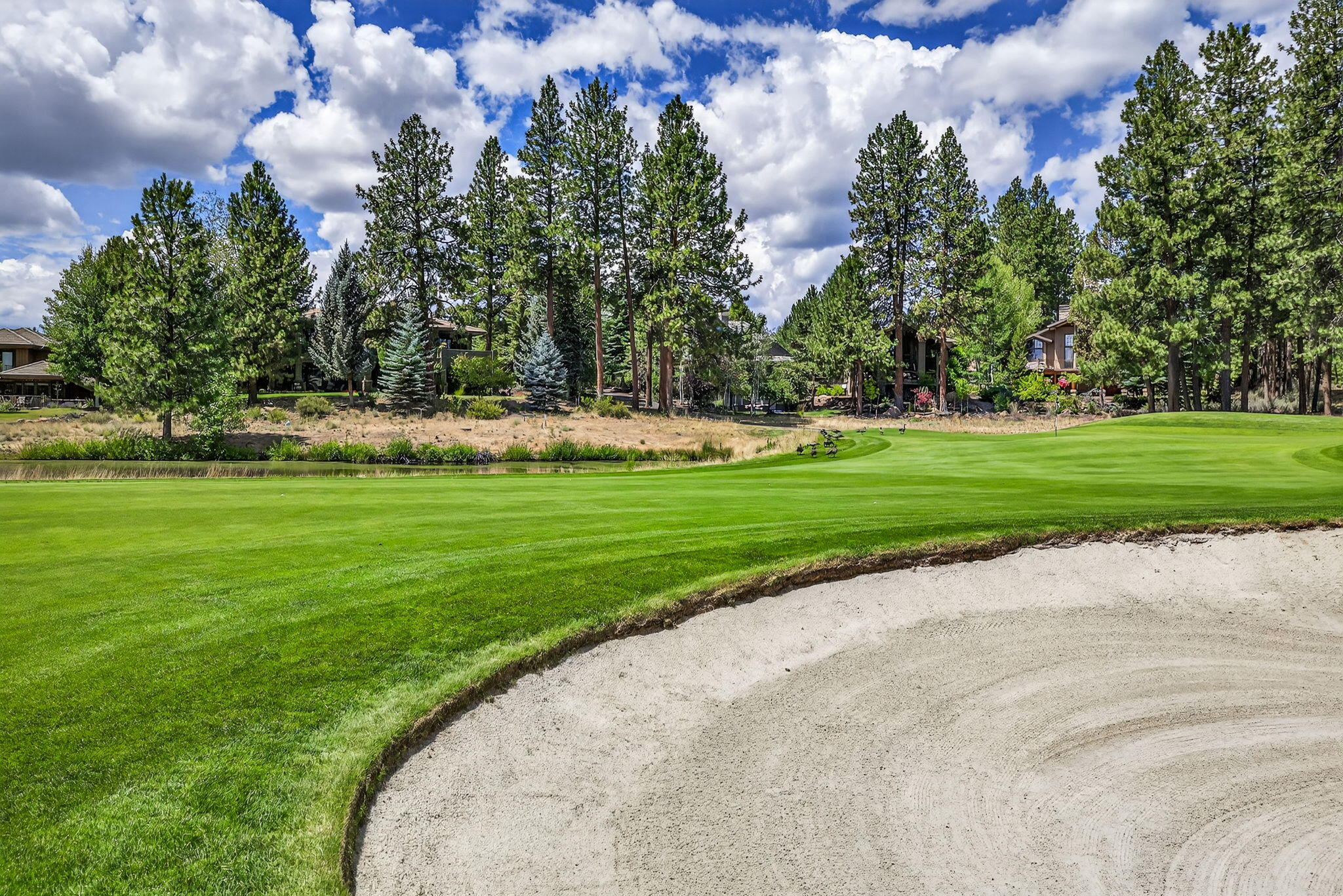 61712 Broken Top Drive