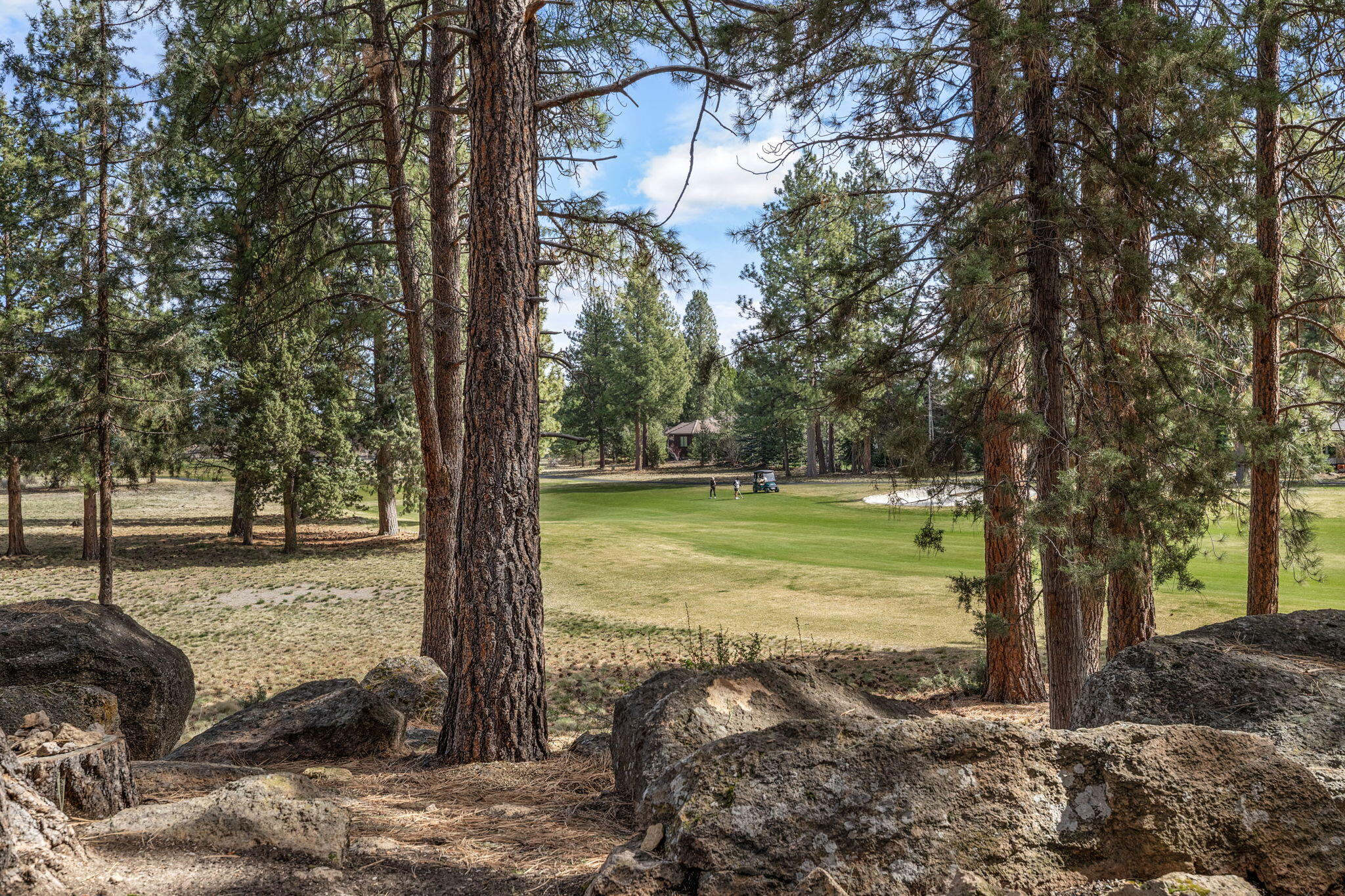 61727 Tam McArthur Loop