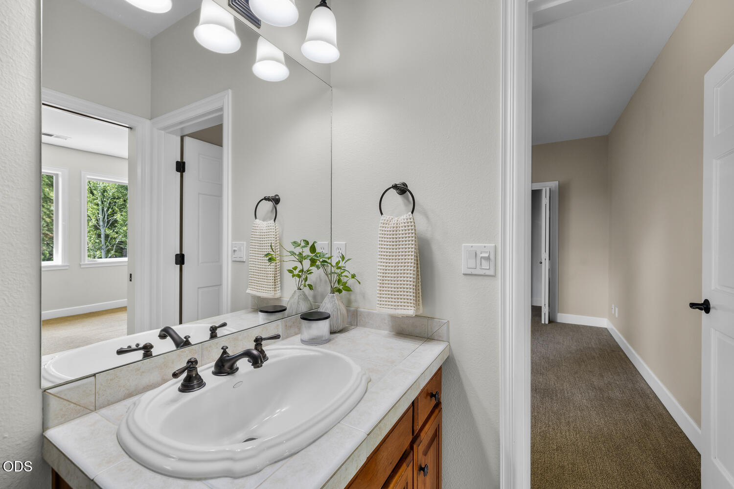 Bathroom vanity with a large mirror, white sink, and wood cabinetry beside a carpeted hallway.