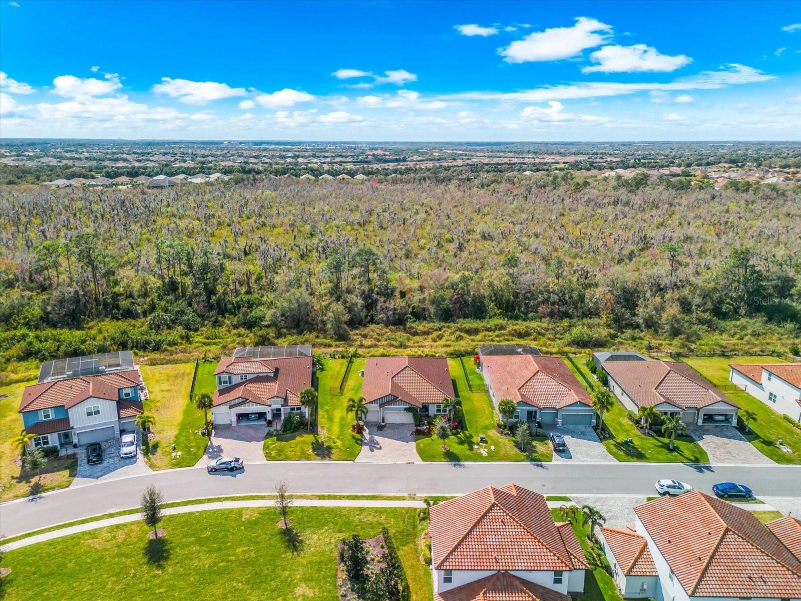 13832 GREEN HAMMOCK PL