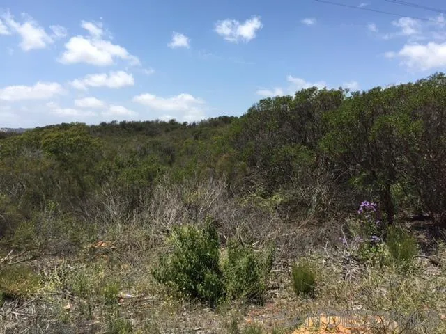 Lilac Hill Dr Unit 18