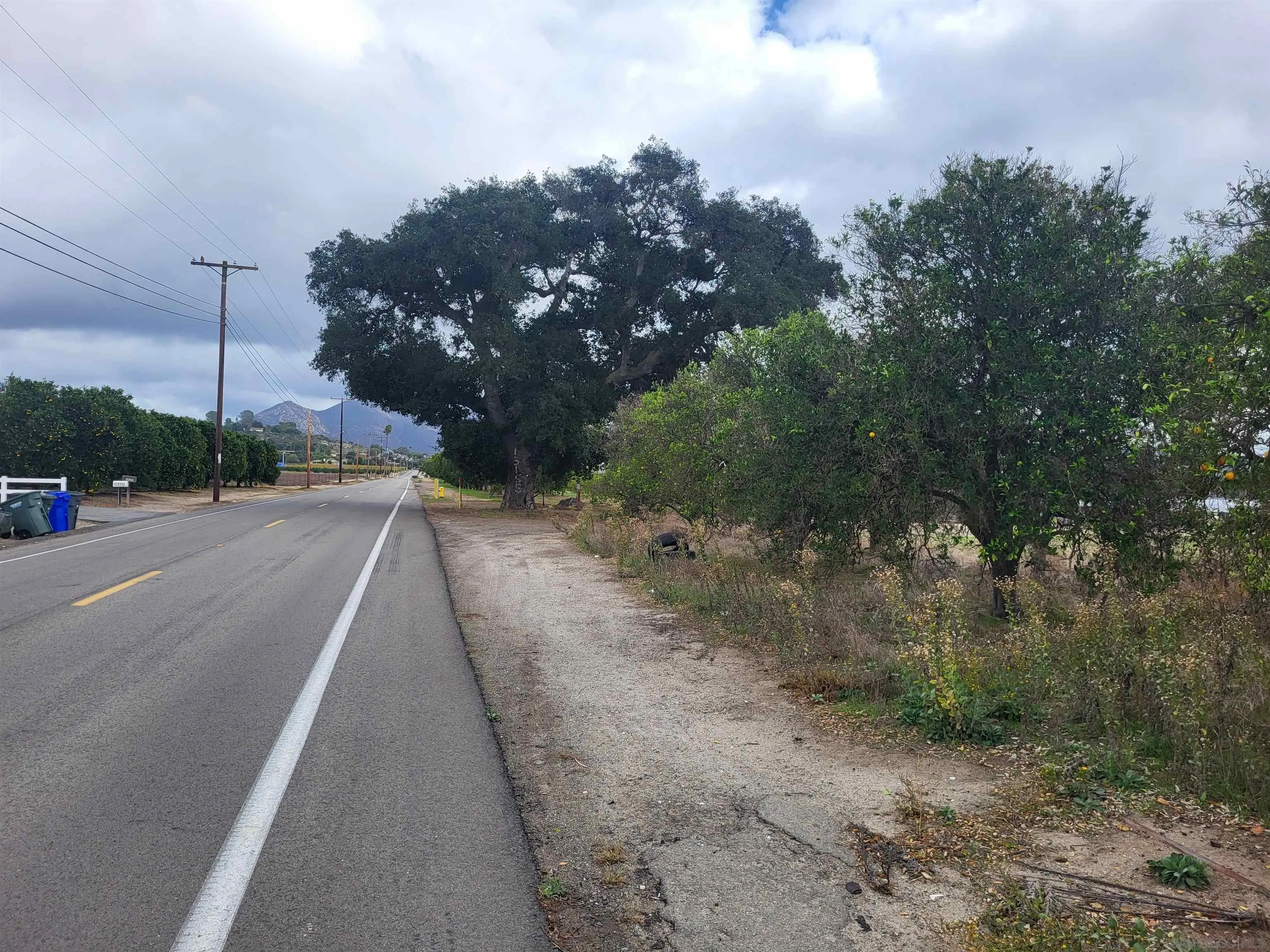 16.5 Acres On Vesper Rd Unit 0