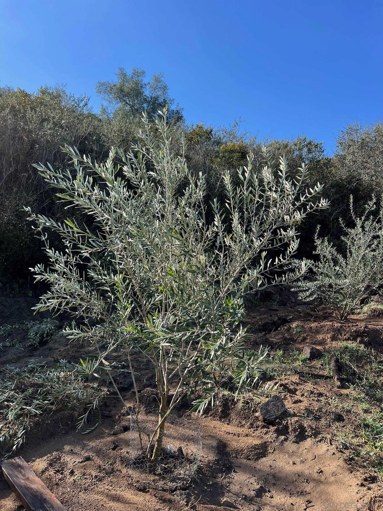 13484 Genesis Way Unit 17