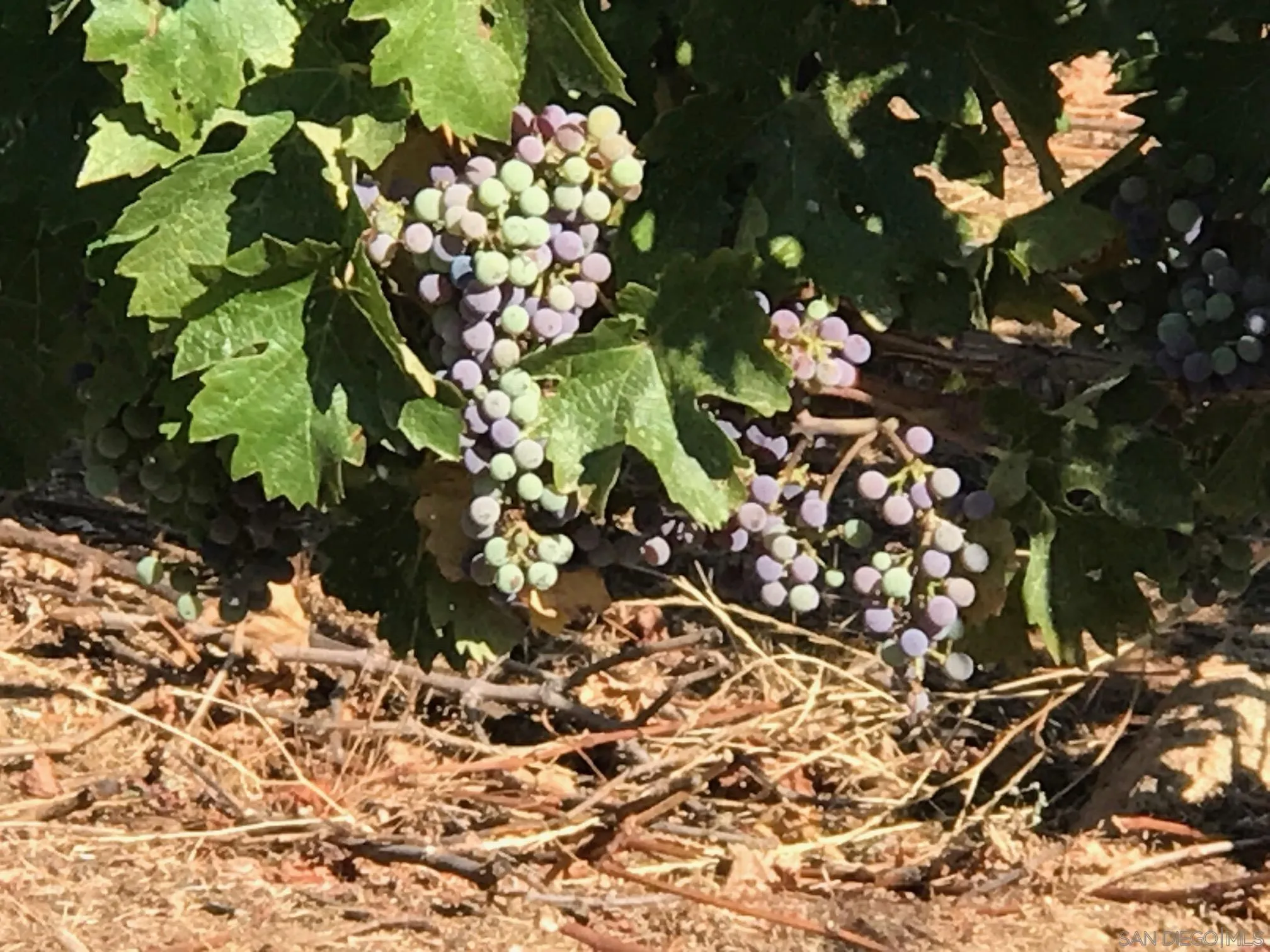 37522 La Encina Circle