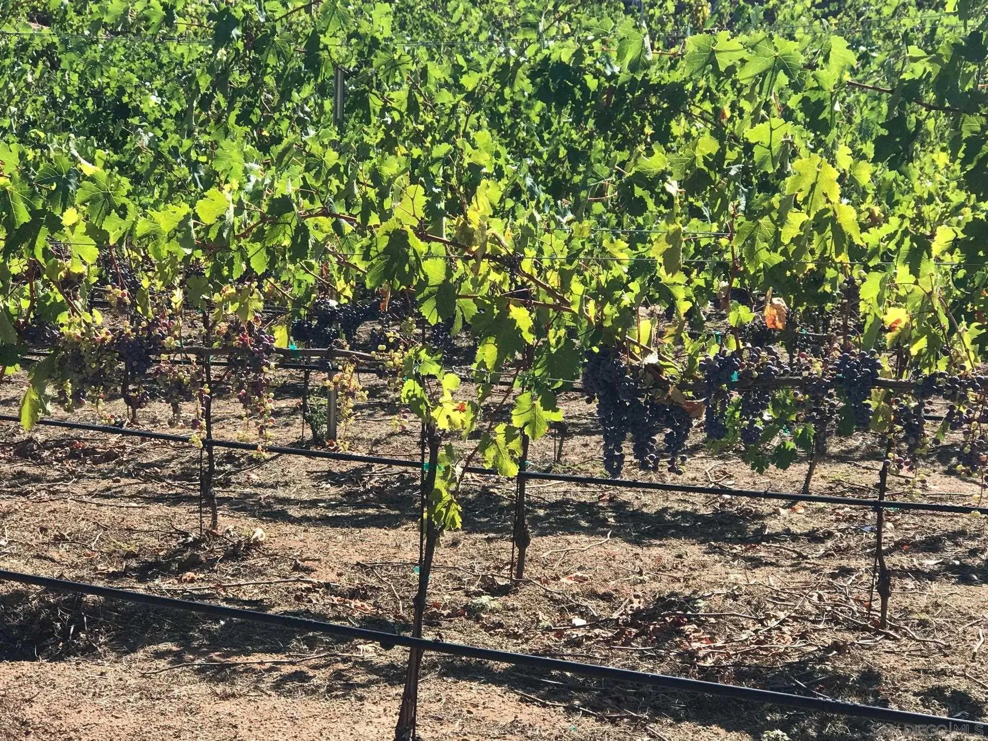 37522 La Encina Circle