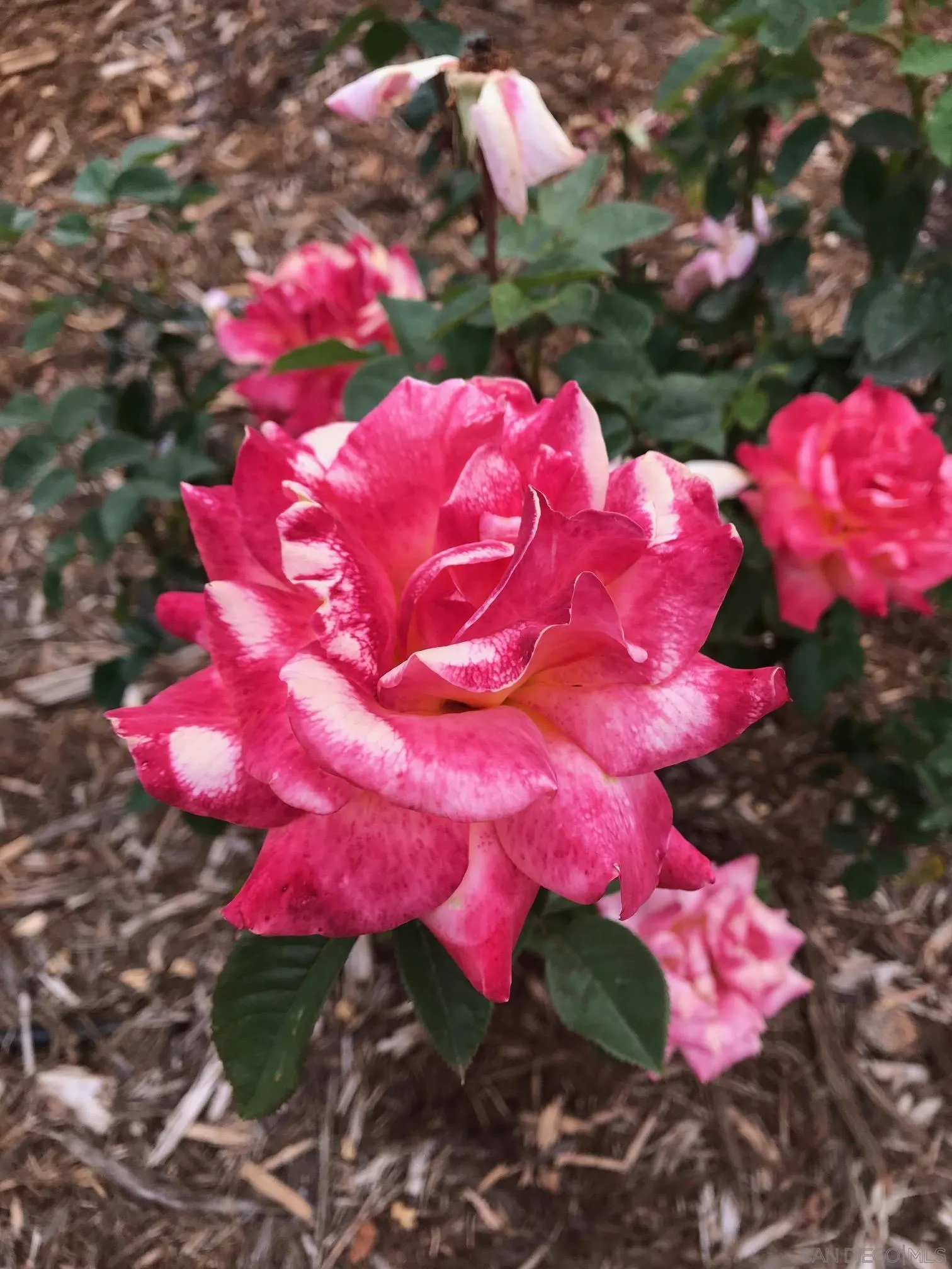 37522 La Encina Circle