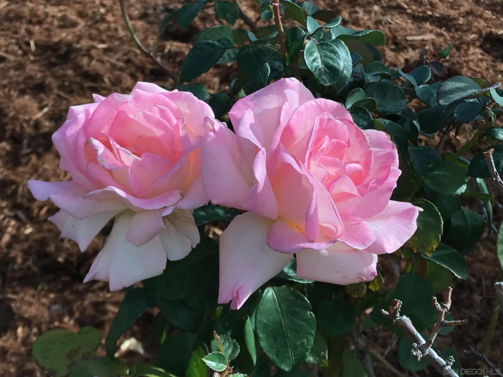 37522 La Encina Circle