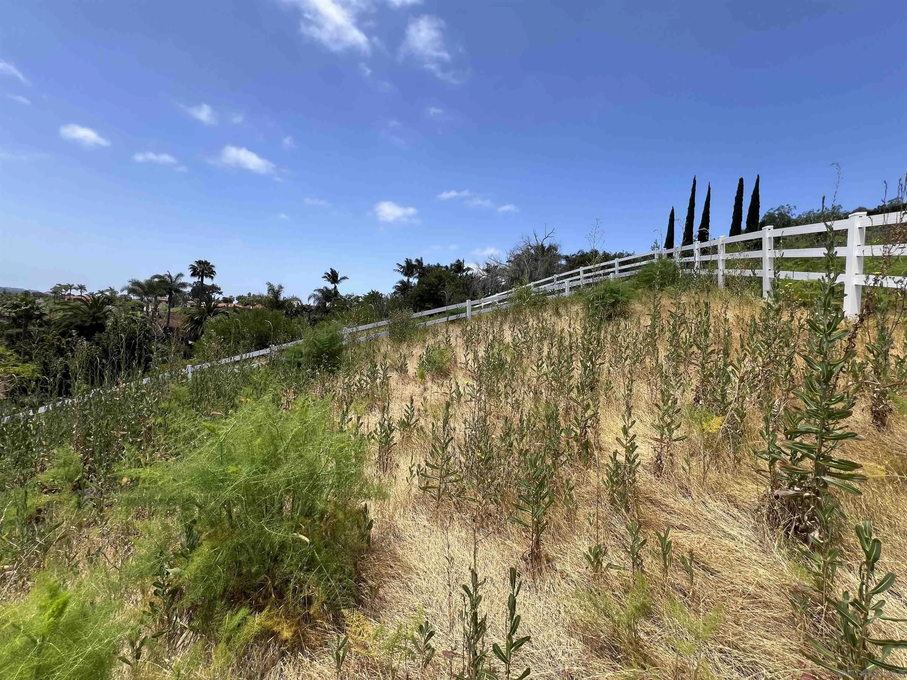 2946 Lone Jack Rd. Unit 29