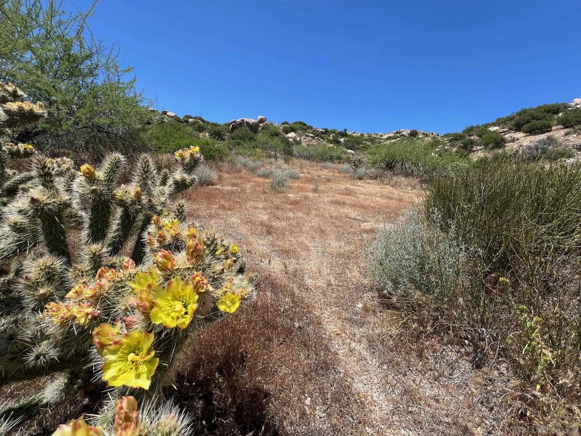 000 Old Highway 80 Unit 5