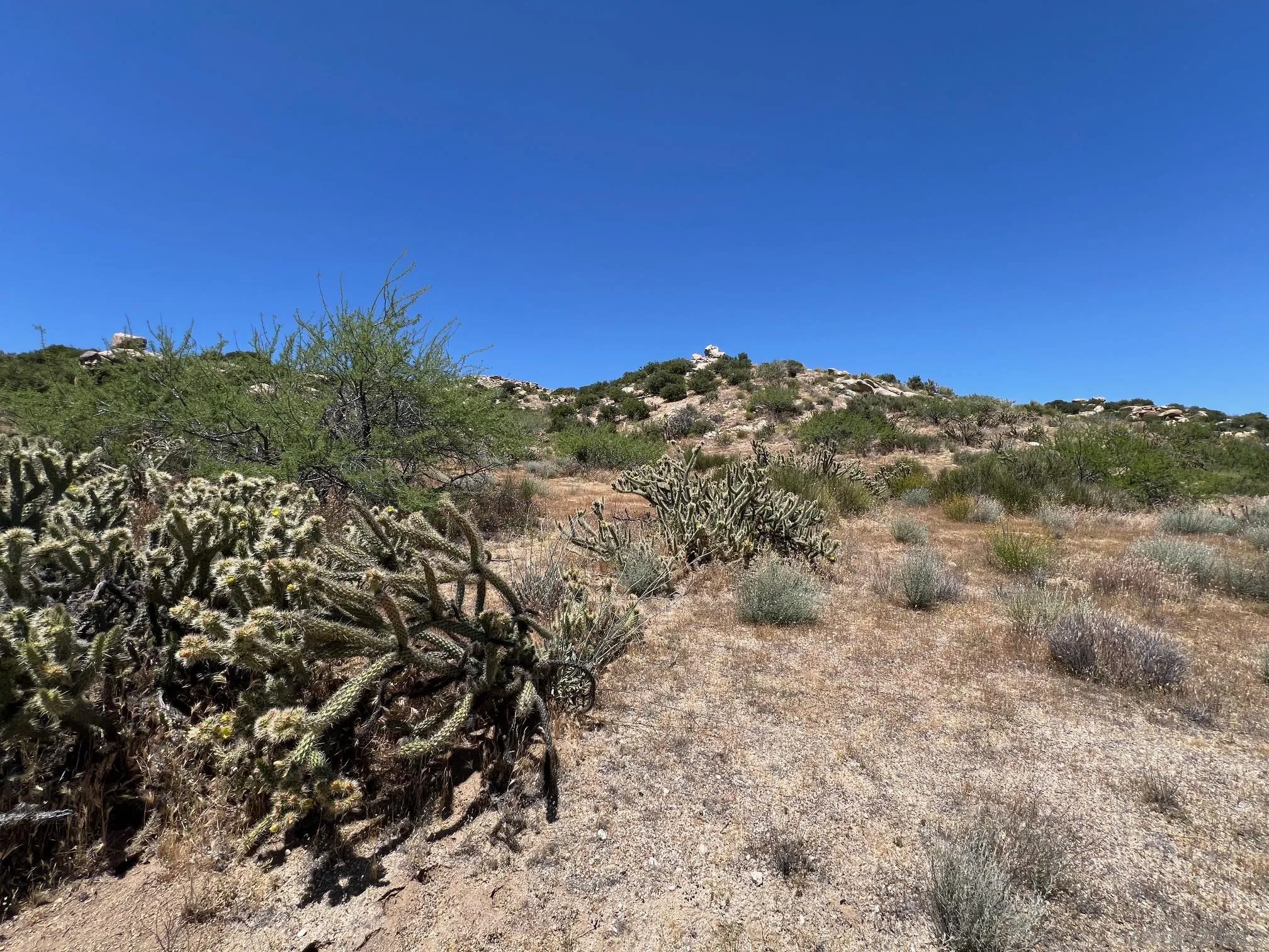 000 Old Highway 80 Unit 5