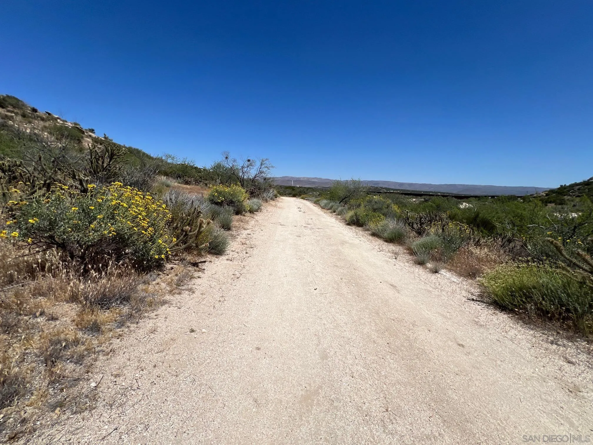 000 Old Highway 80 Unit 5