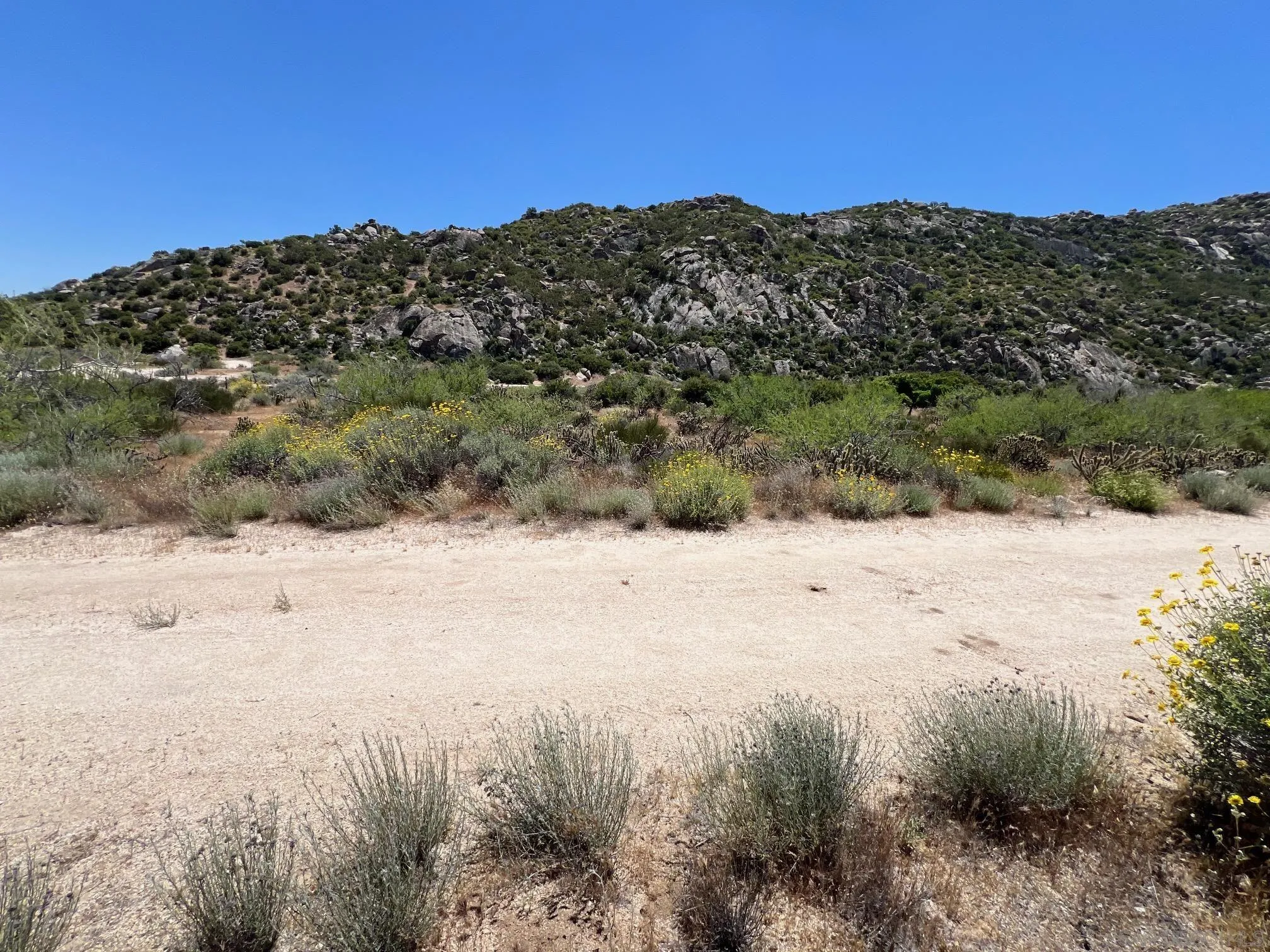 000 Old Highway 80 Unit 5