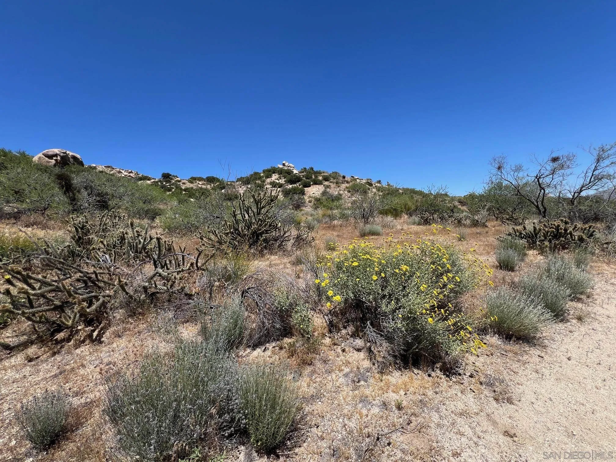 000 Old Highway 80 Unit 5