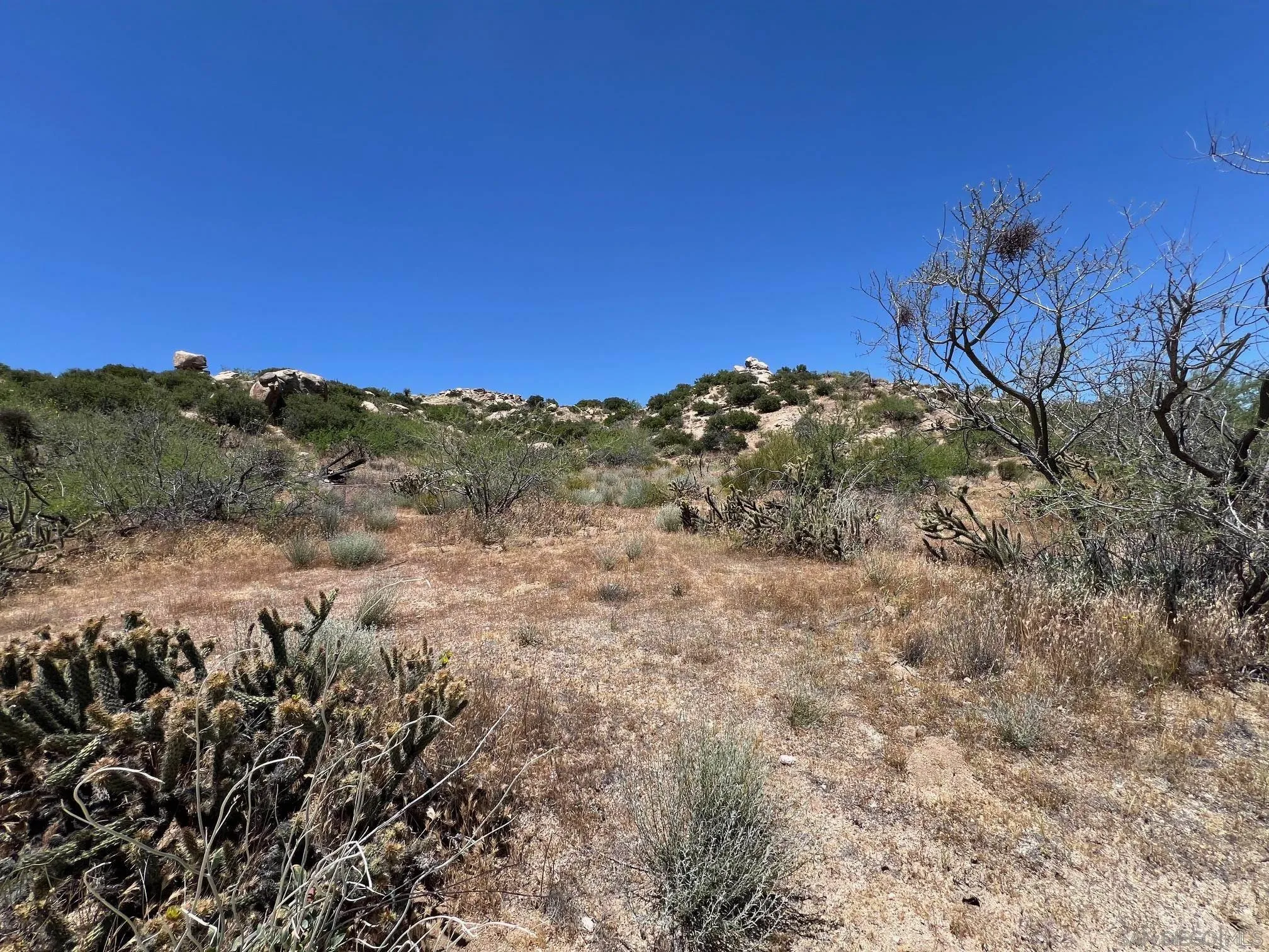 000 Old Highway 80 Unit 5