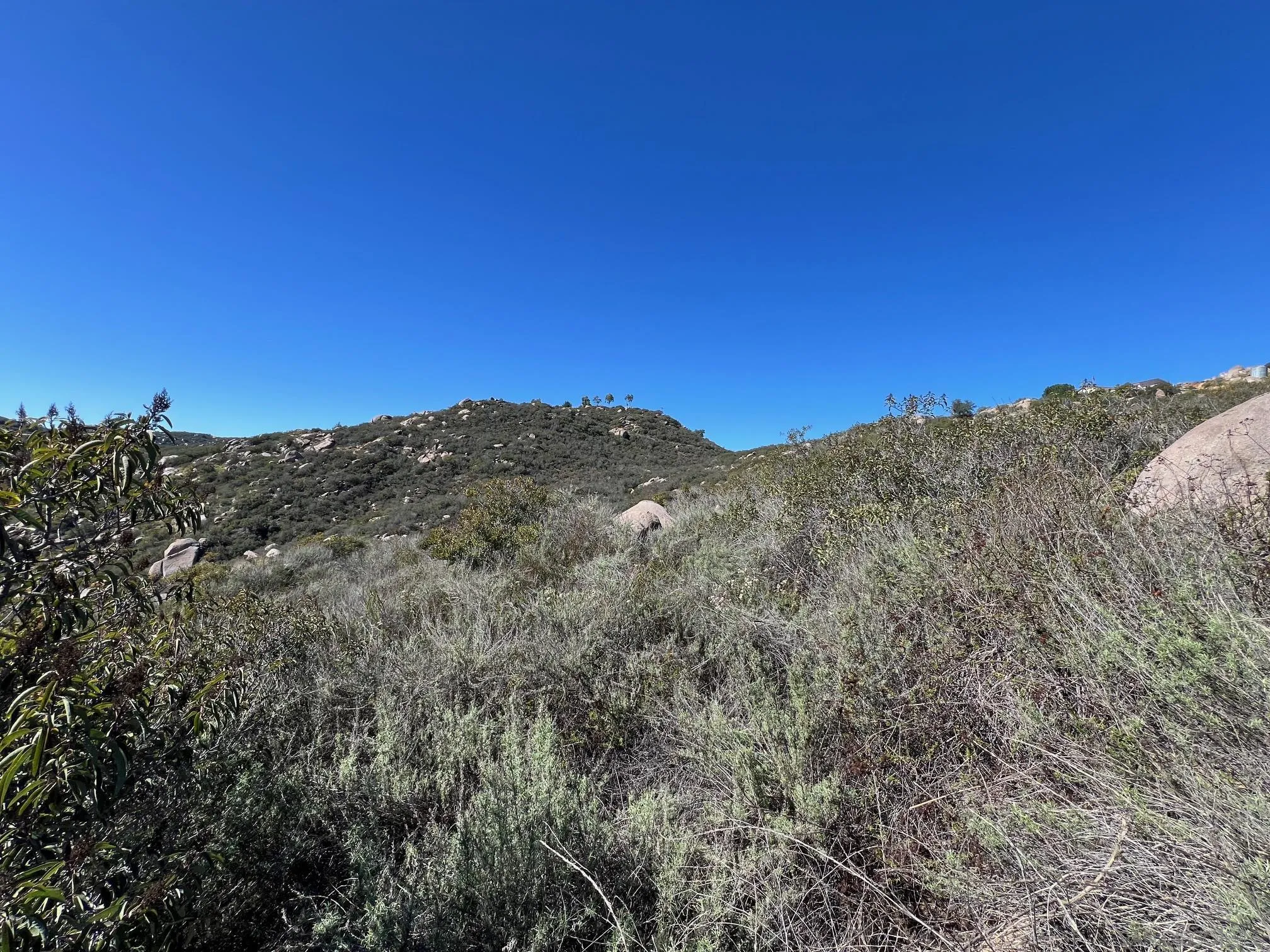 000 Wildcat Canyon Road Unit 43