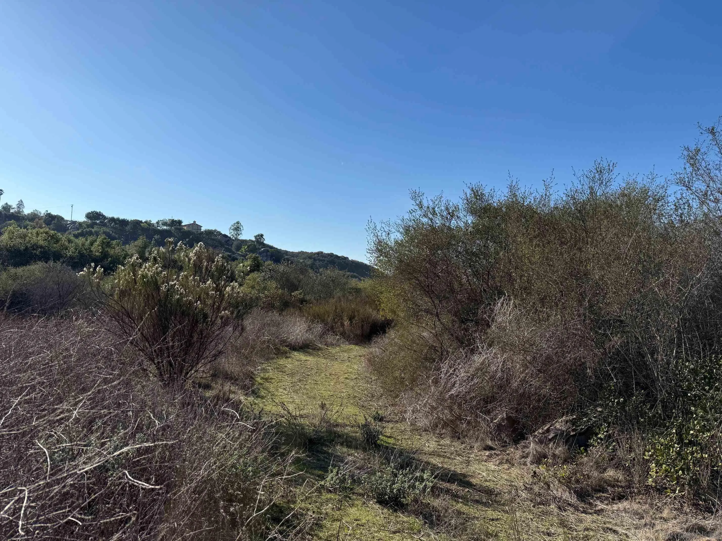 12494 Buena Vida Rd Unit .