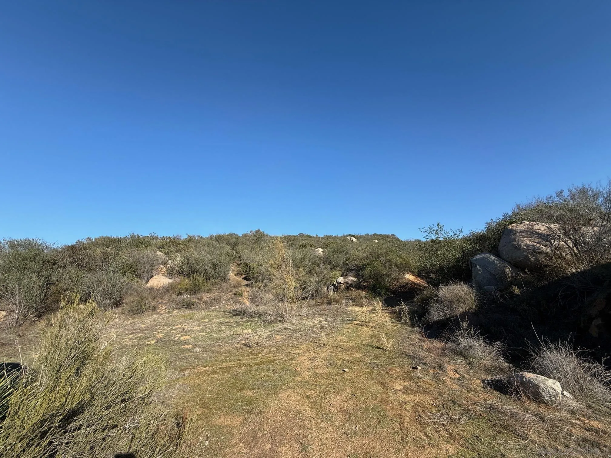 12494 Buena Vida Rd Unit .