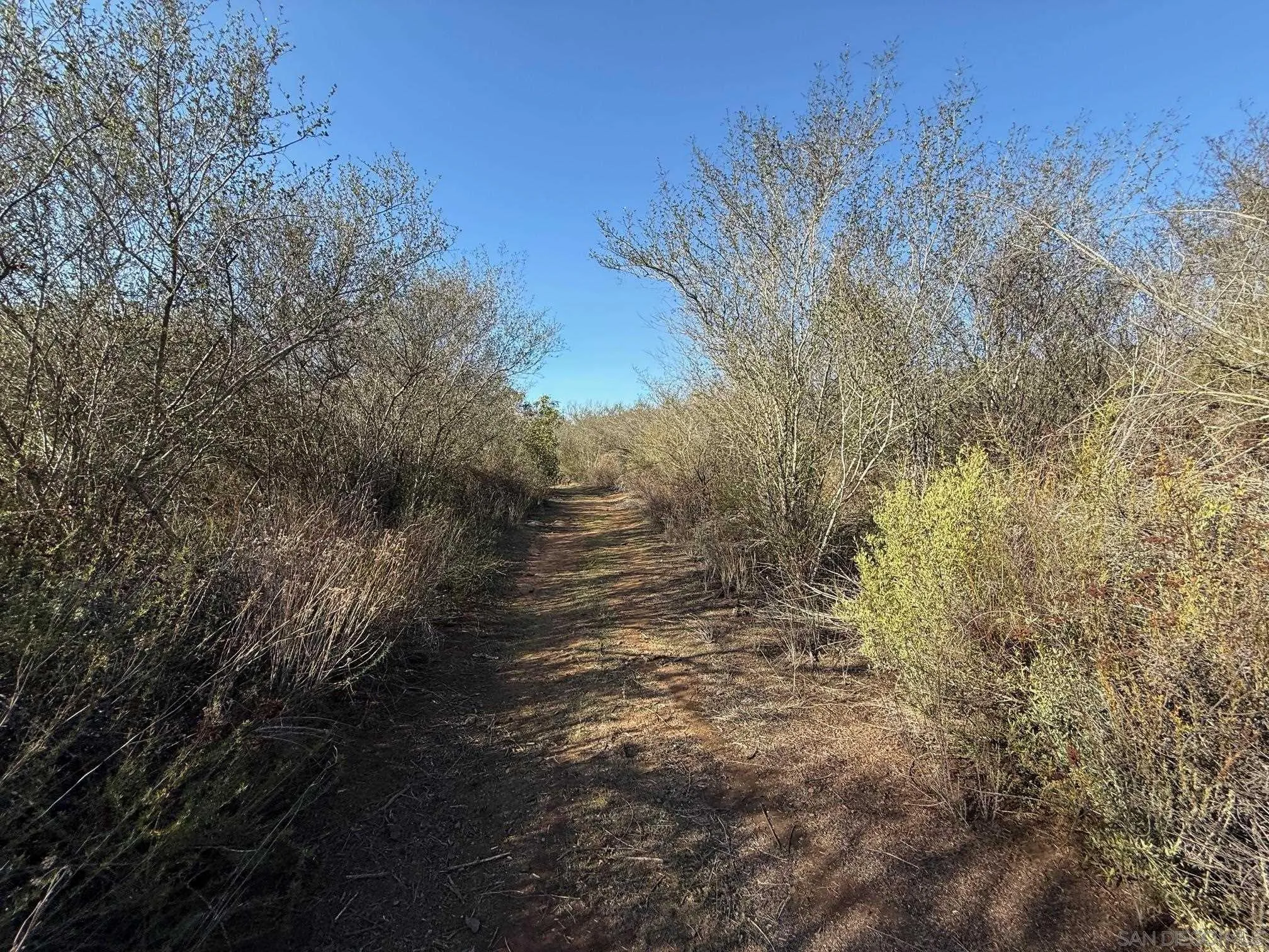 12494 Buena Vida Rd Unit .