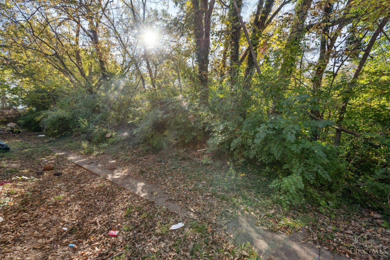 3023 Bracken Woods Lane