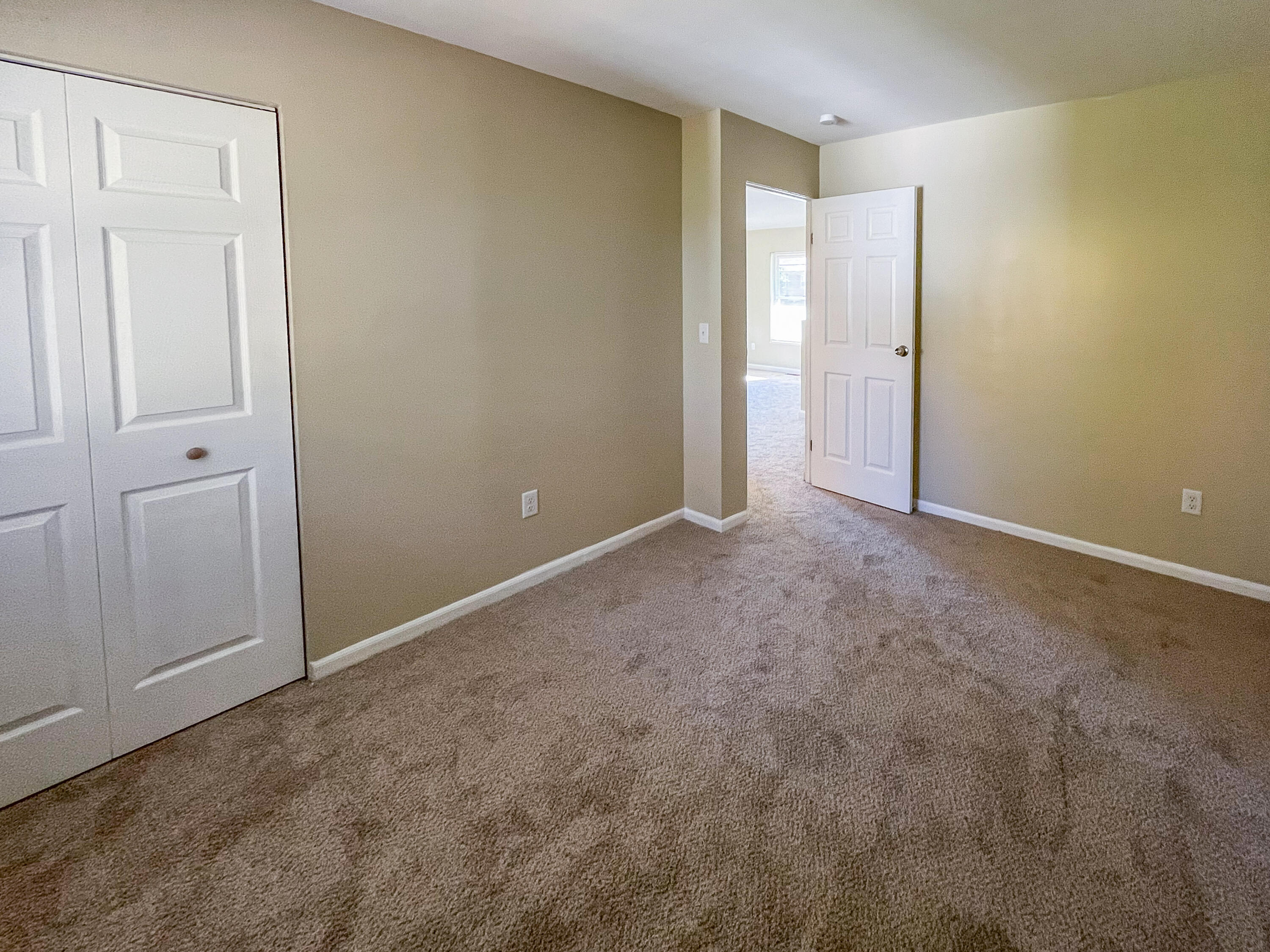 3372 Pine Tree Lane