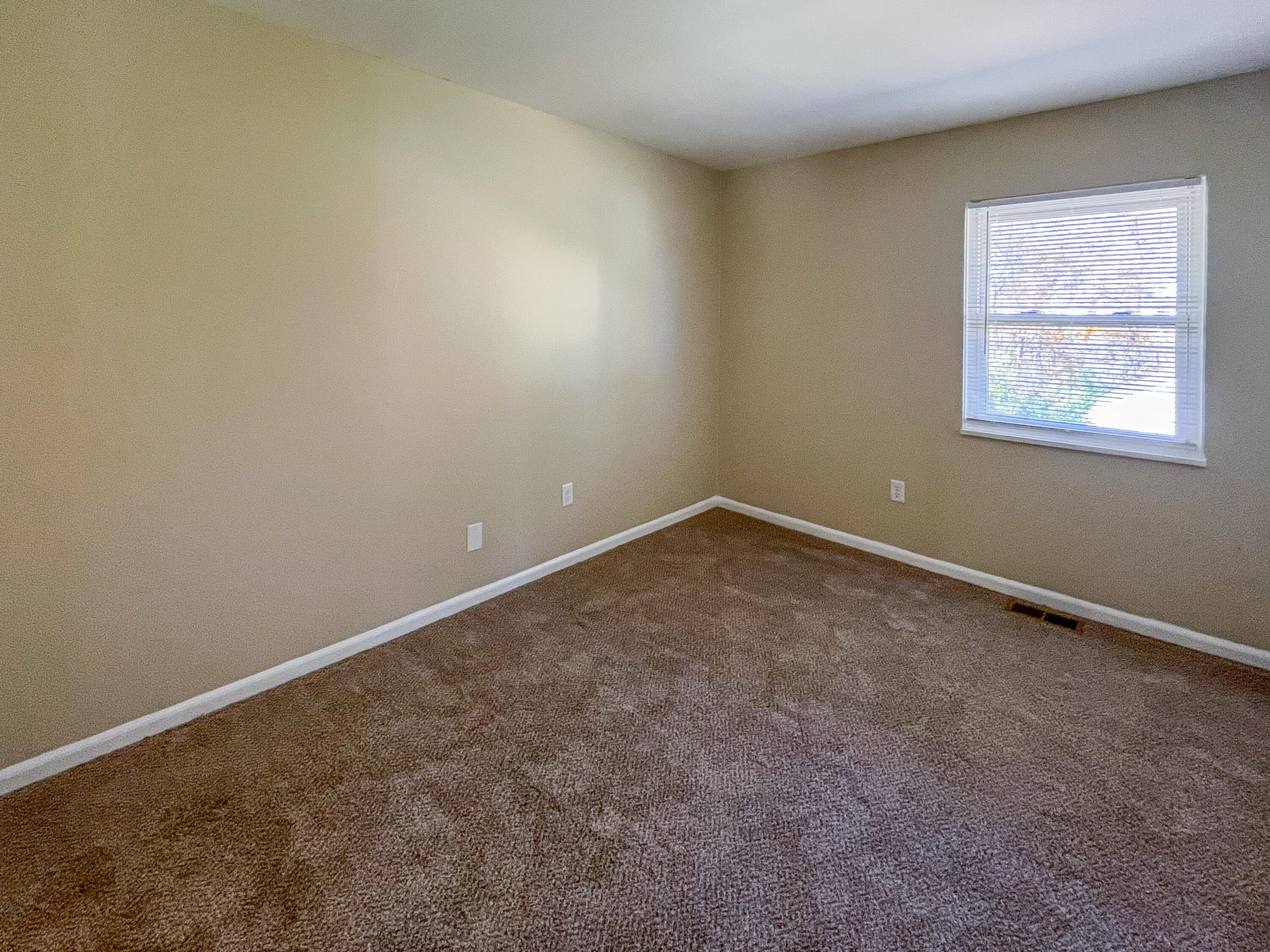 3372 Pine Tree Lane