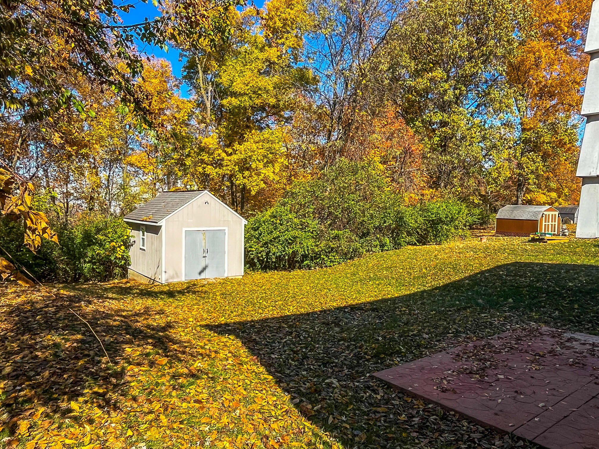 3372 Pine Tree Lane
