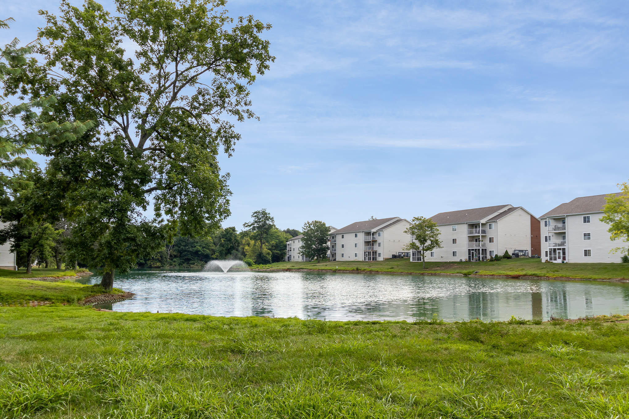 636 Friars Lane, 7