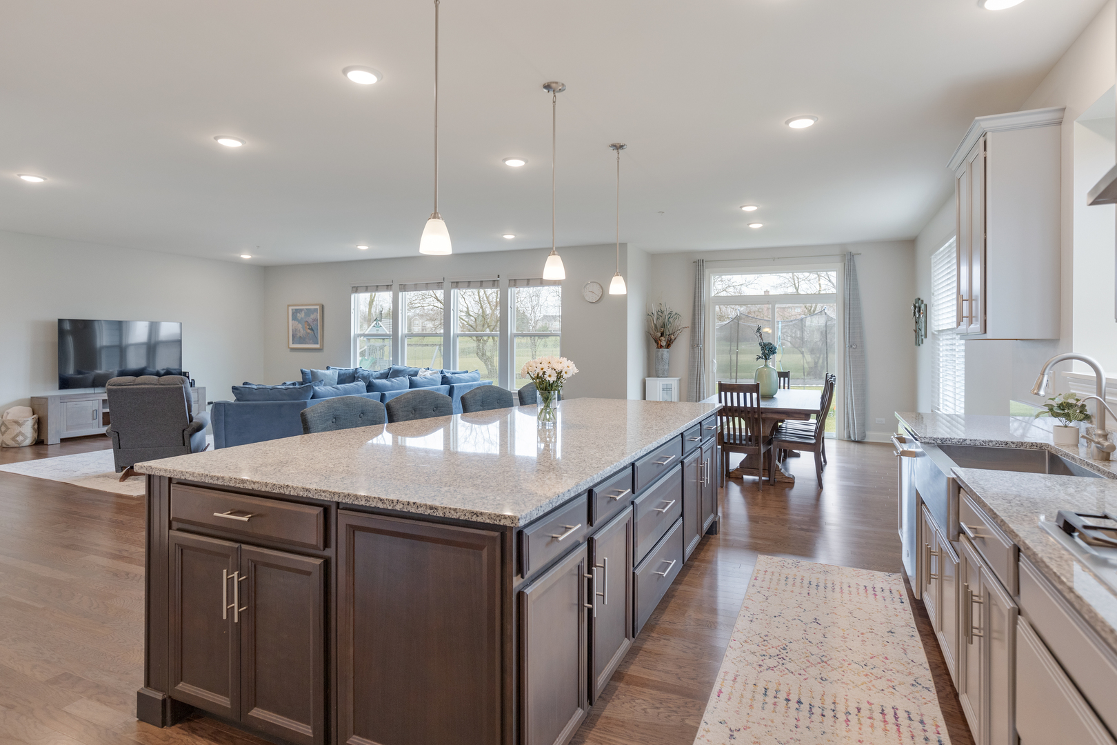 27356 W Meadow Rose Court