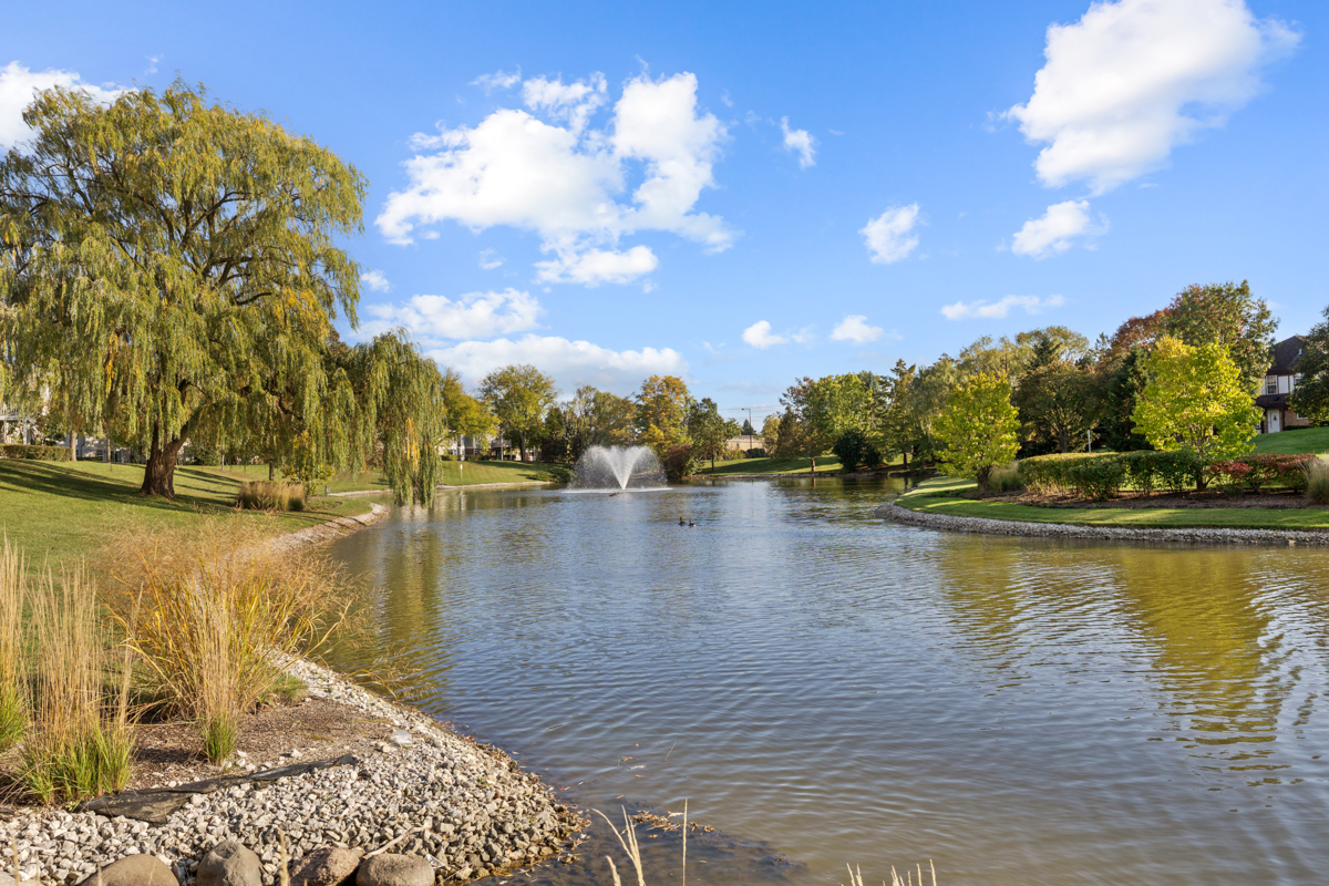 148 White Branch Court