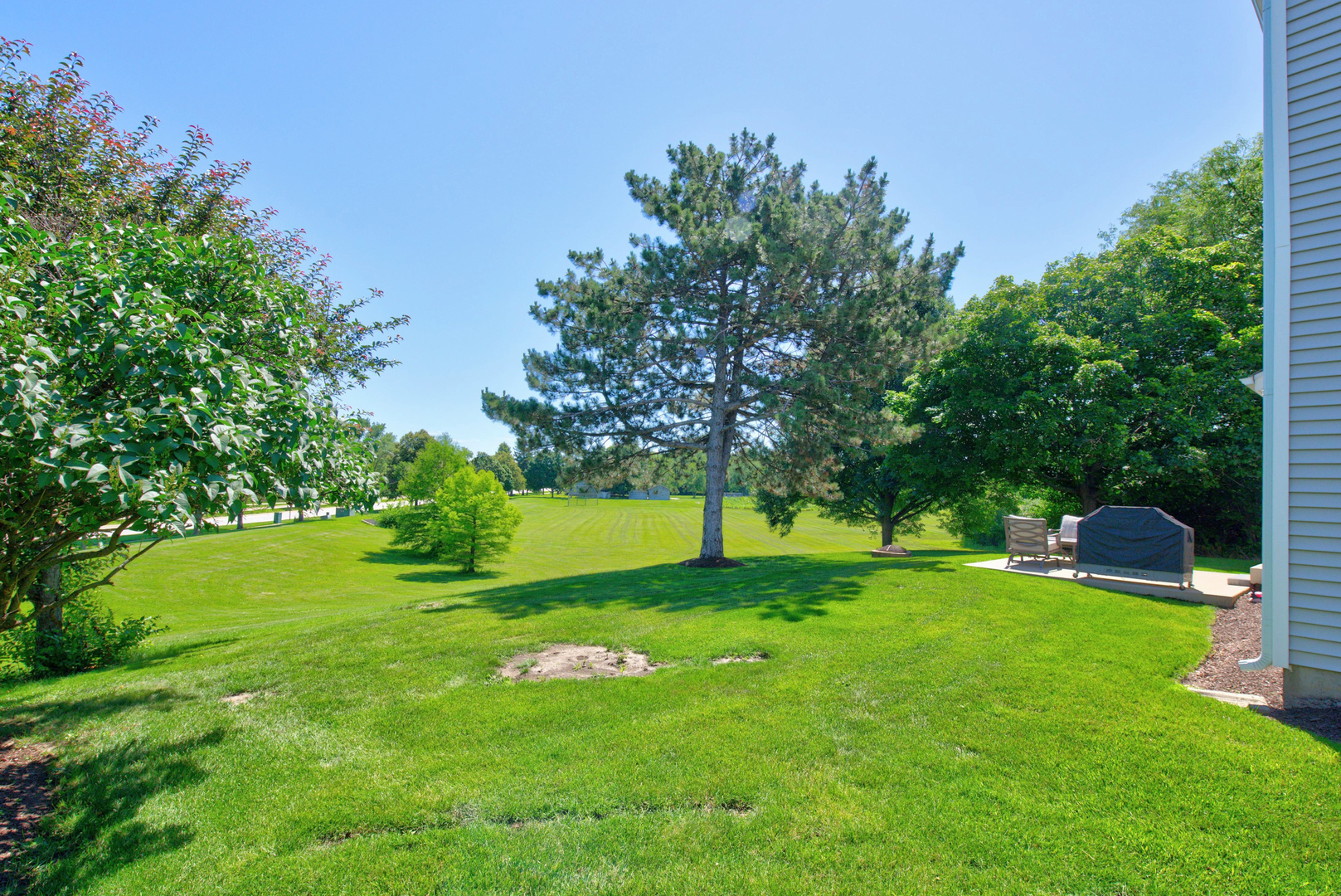 12 Foxglove Court