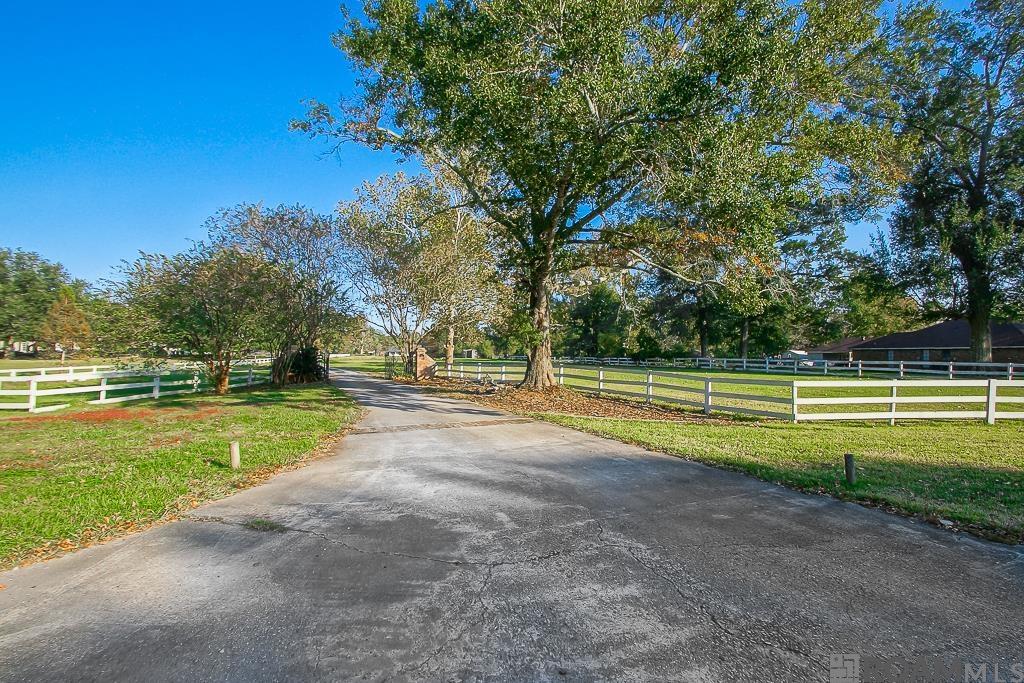 16824 George O Neil Rd