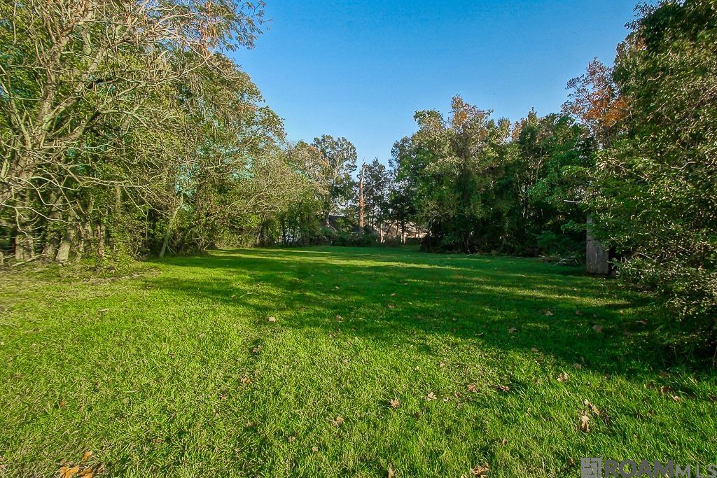 16824 George O Neil Rd