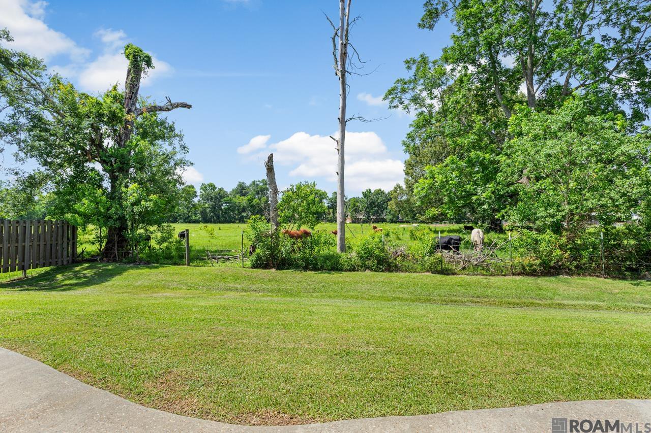 37472 Dutchtown Crossing Av