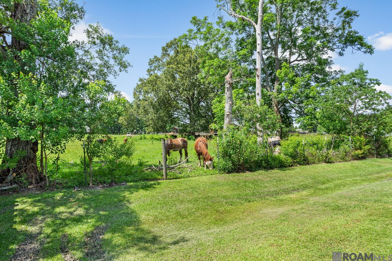 37472 Dutchtown Crossing Av