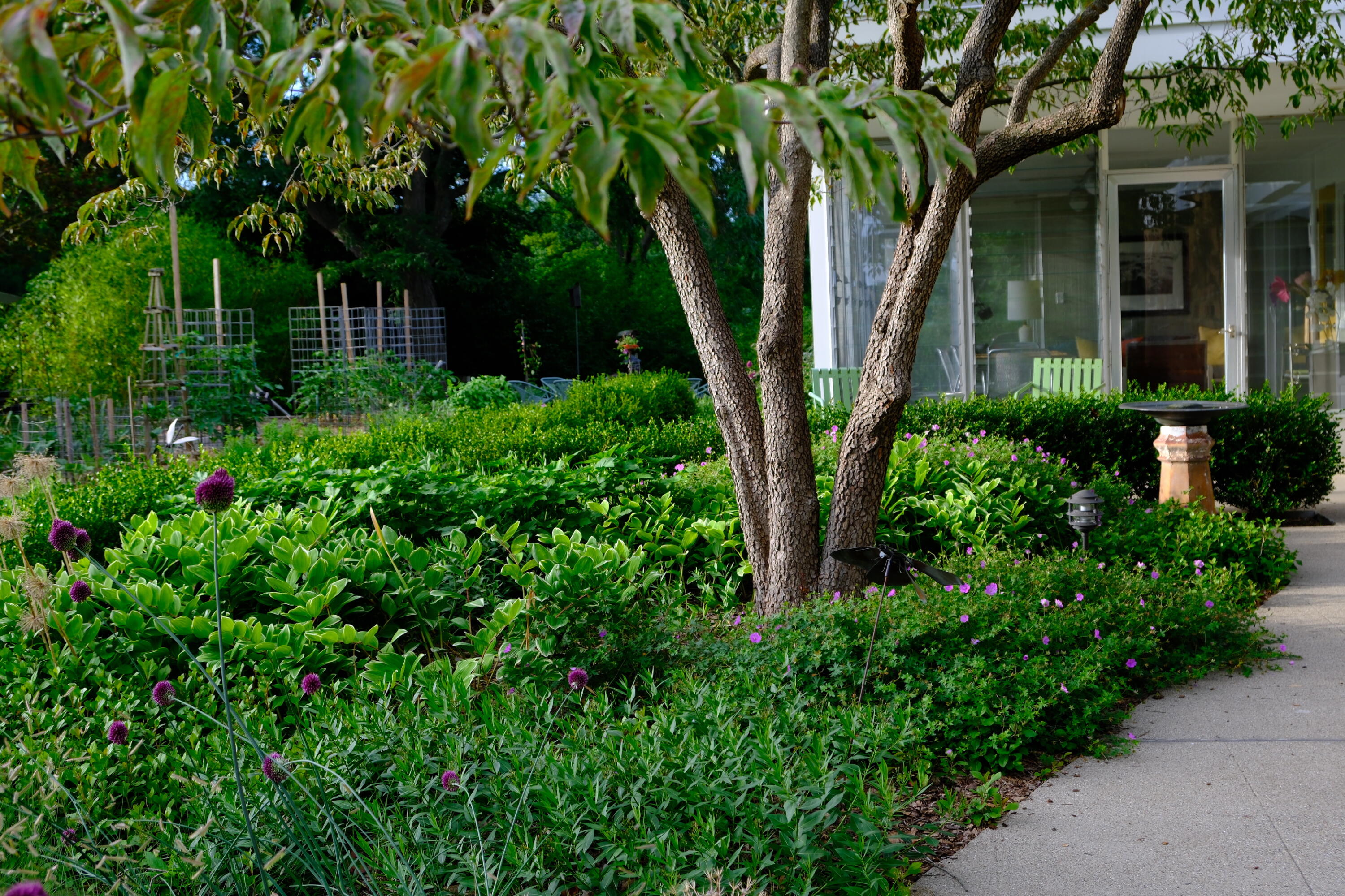 505 Burson Place