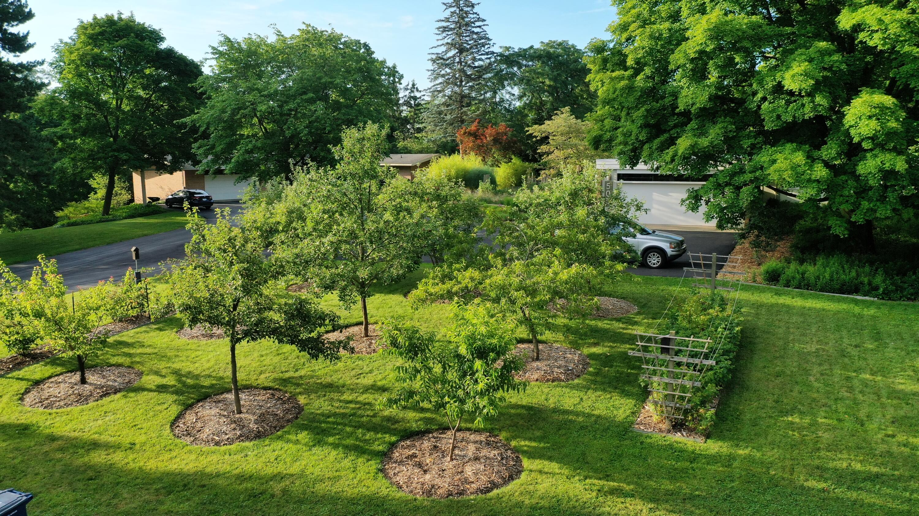 505 Burson Place