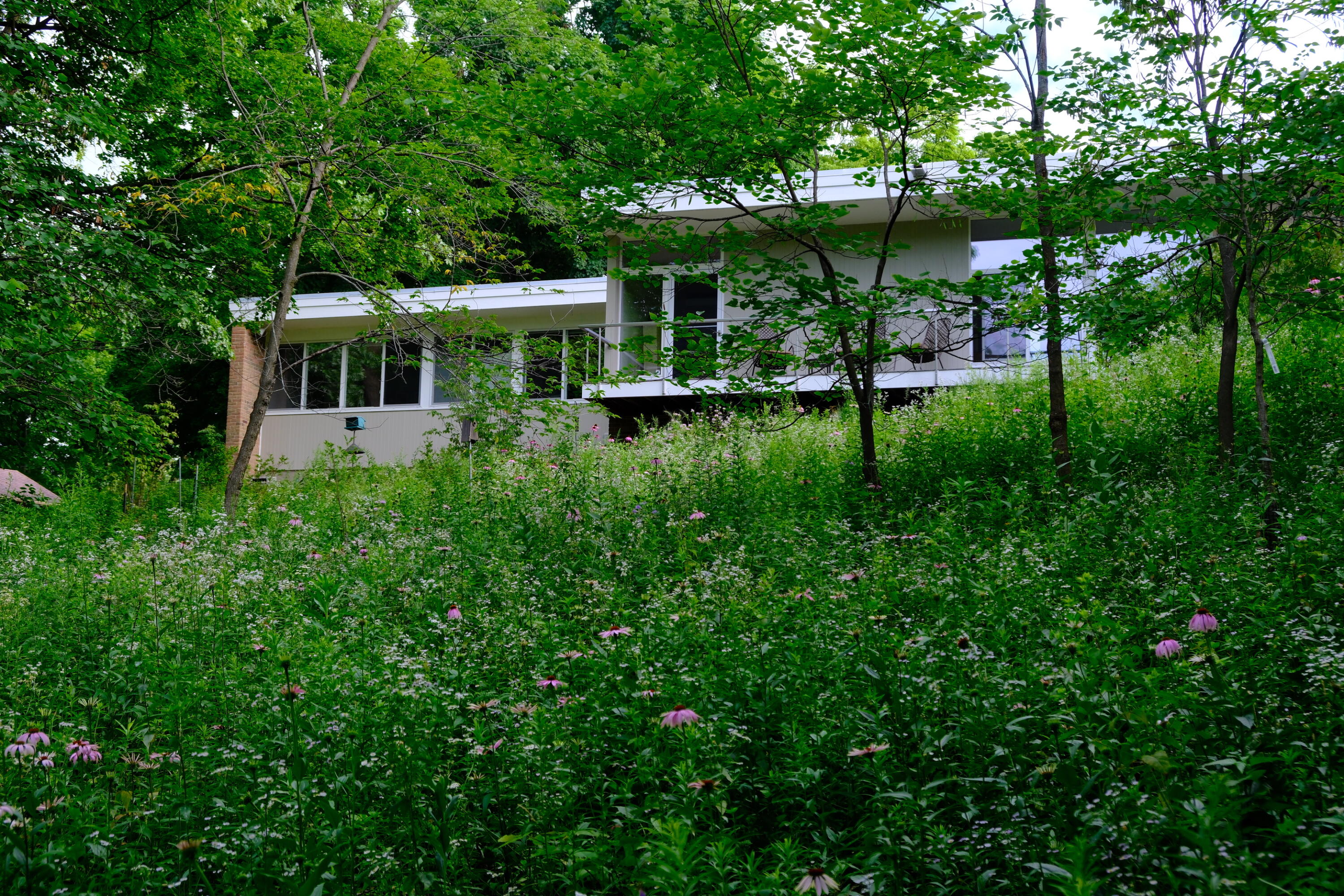 505 Burson Place
