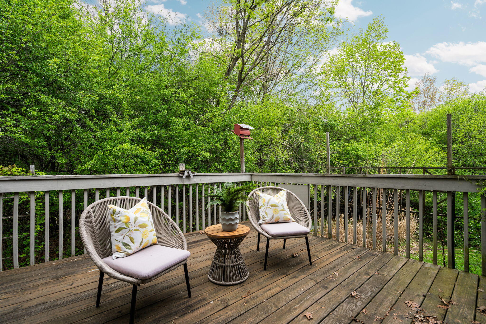 2224 Rivenoak Court