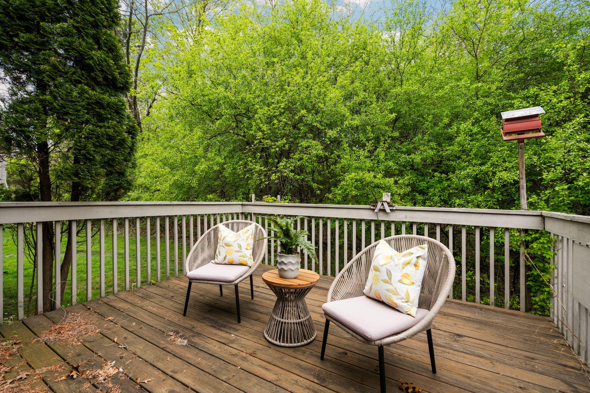 2224 Rivenoak Court