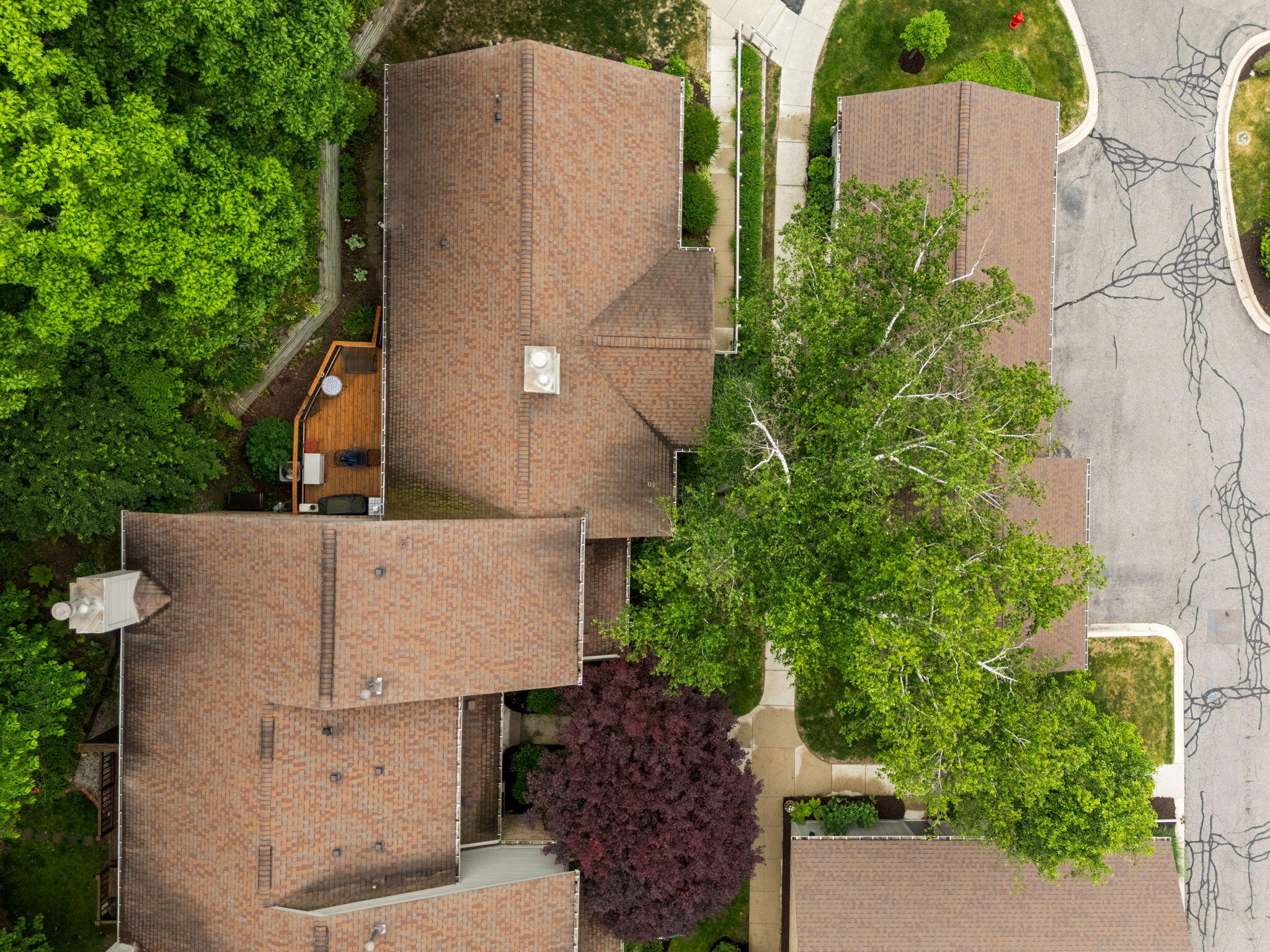 2202 Pine Grove Court