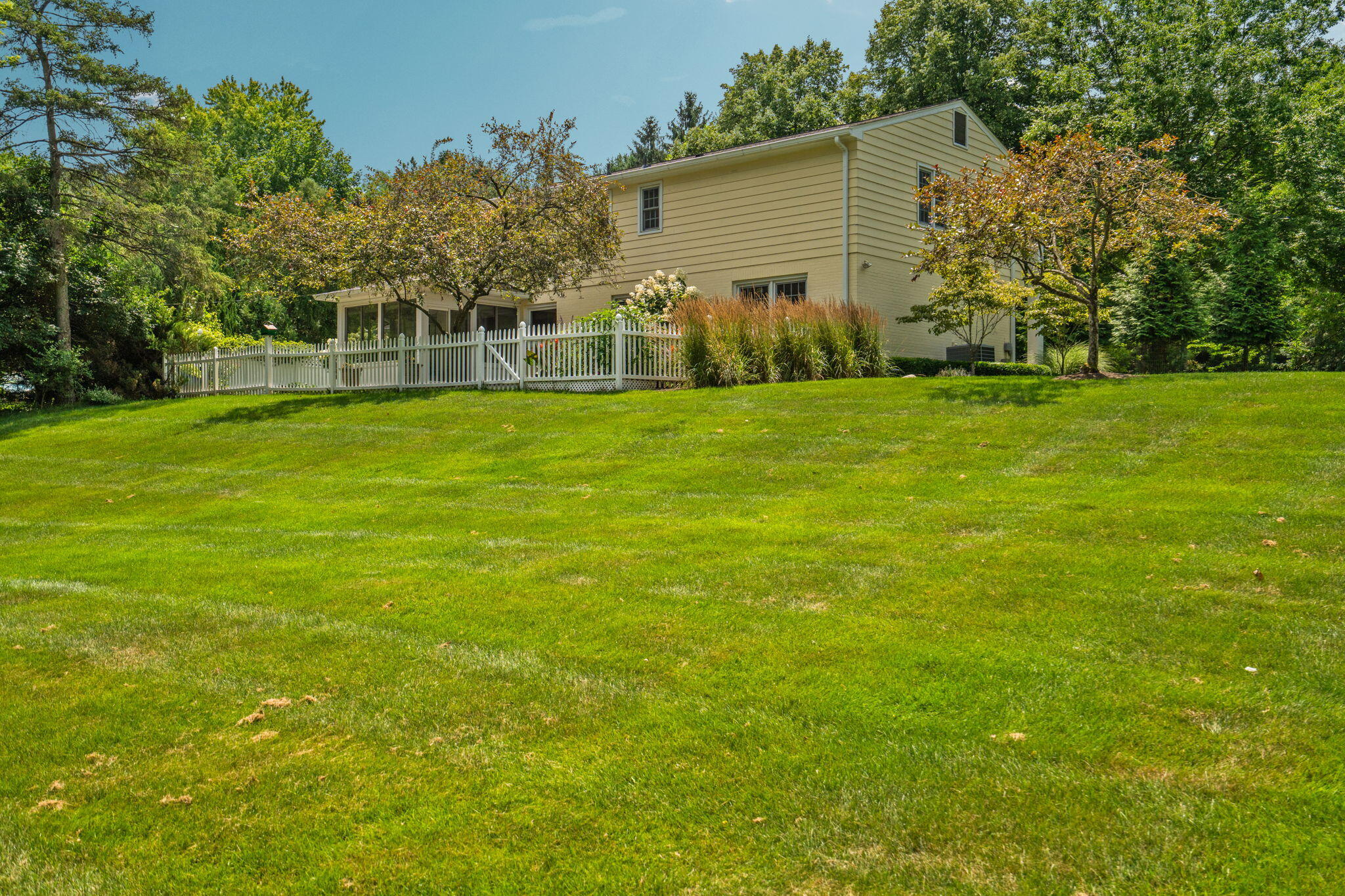 2464 Blueberry Lane
