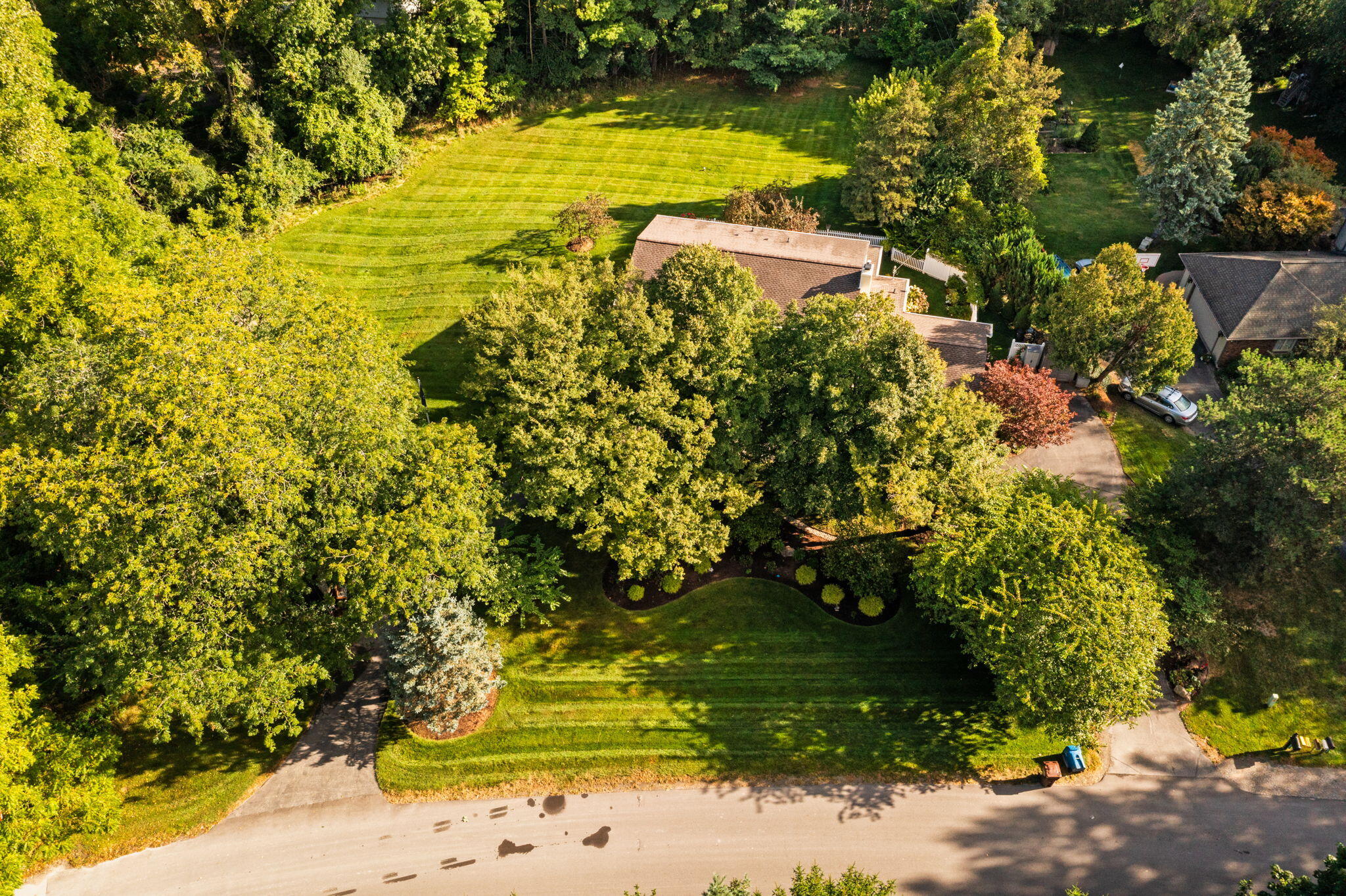 2464 Blueberry Lane