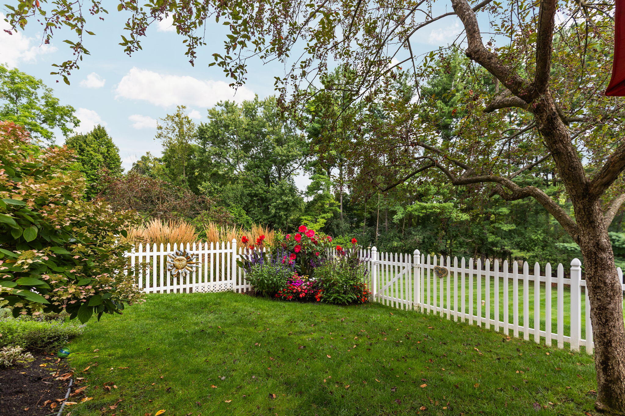 2464 Blueberry Lane
