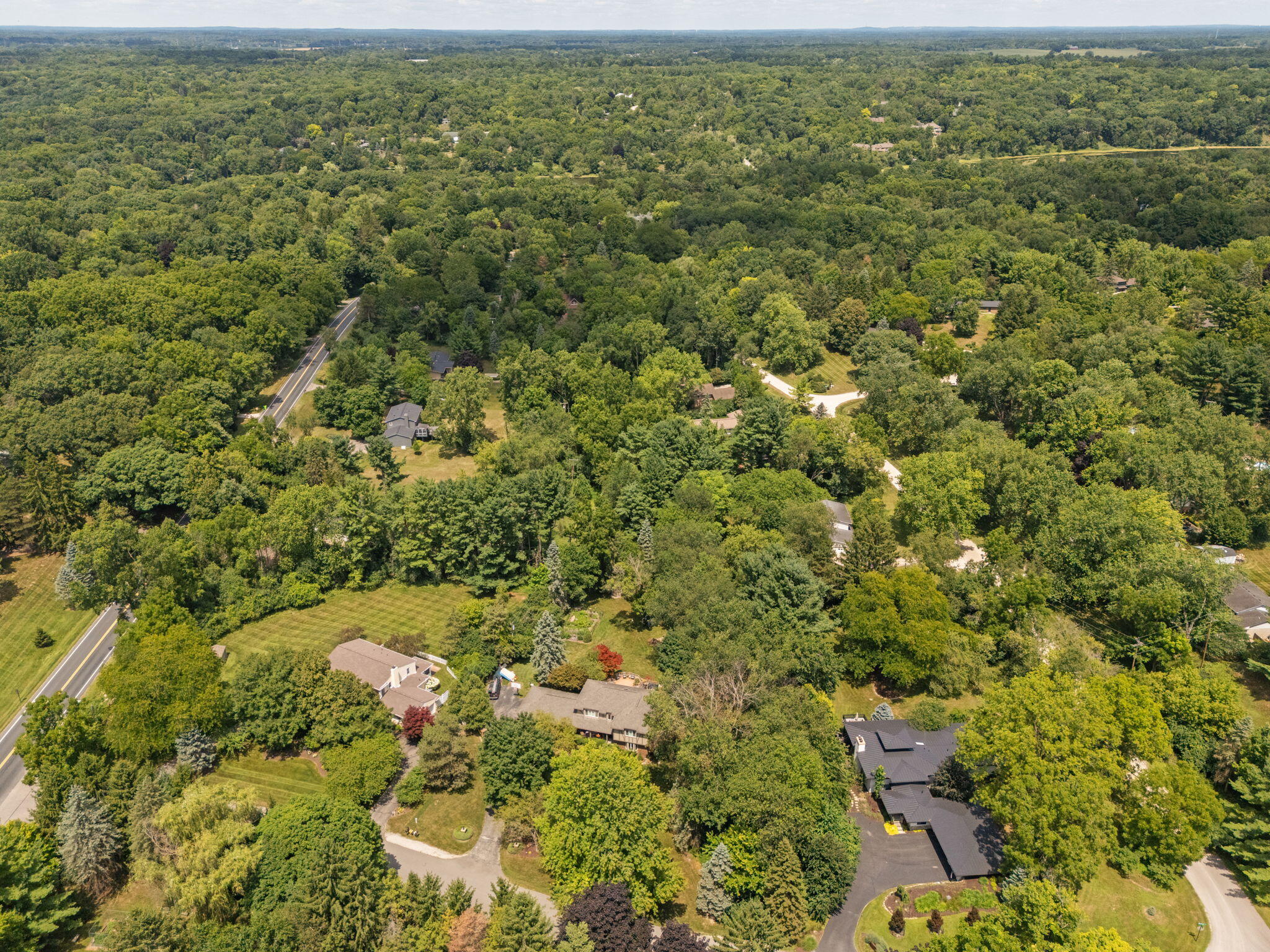 2464 Blueberry Lane