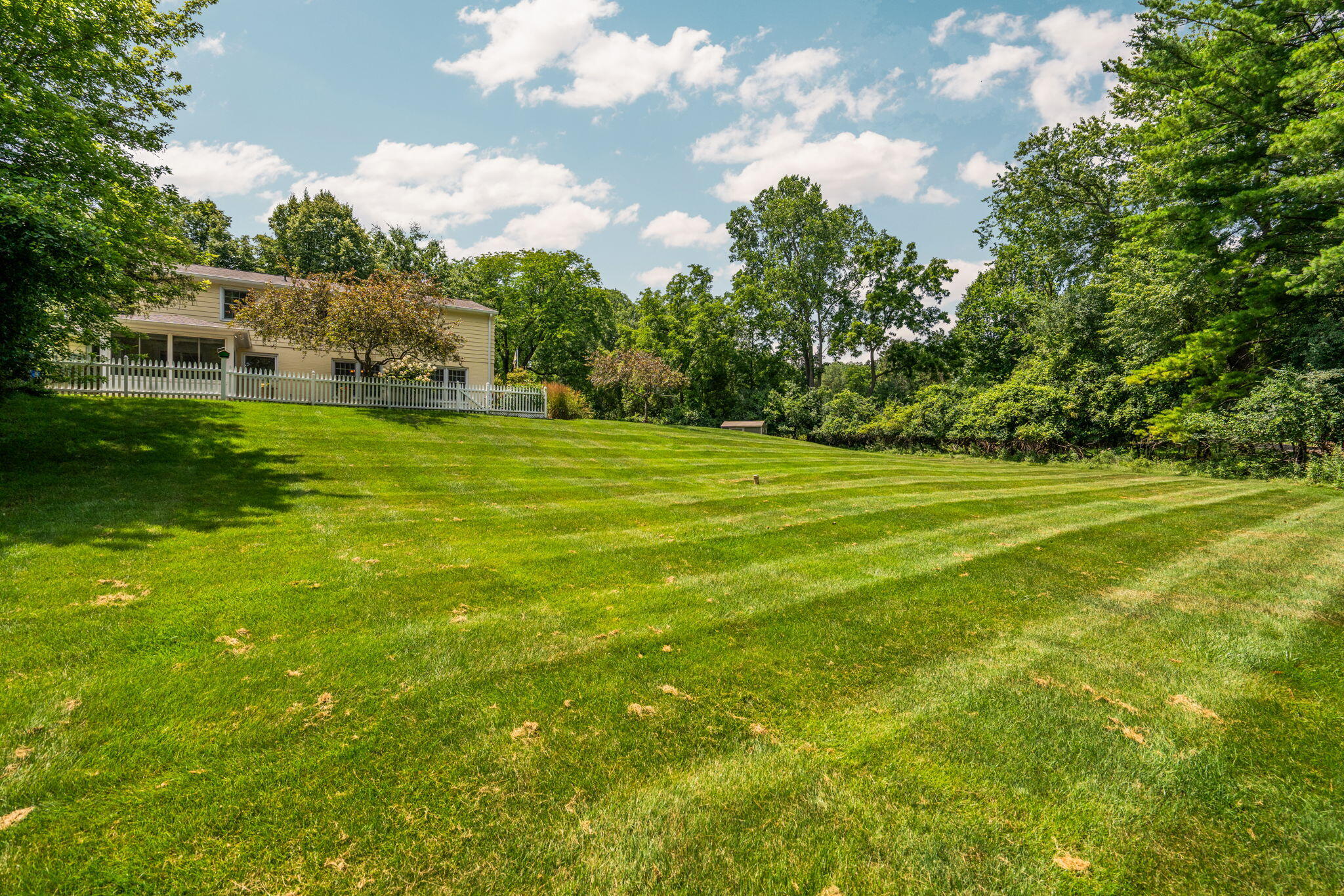 2464 Blueberry Lane