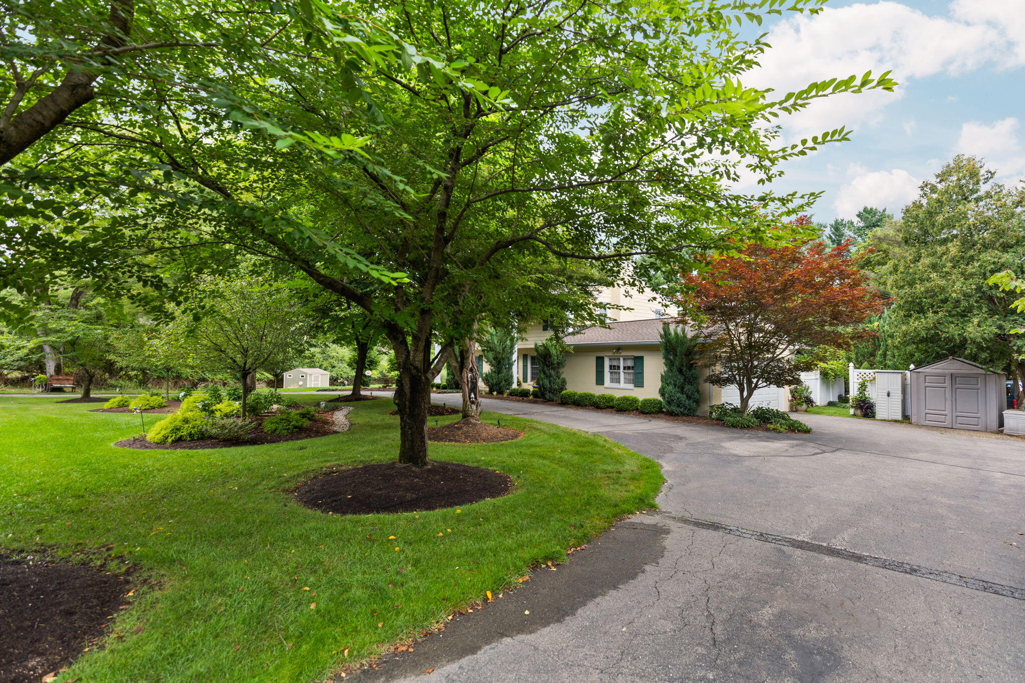 2464 Blueberry Lane