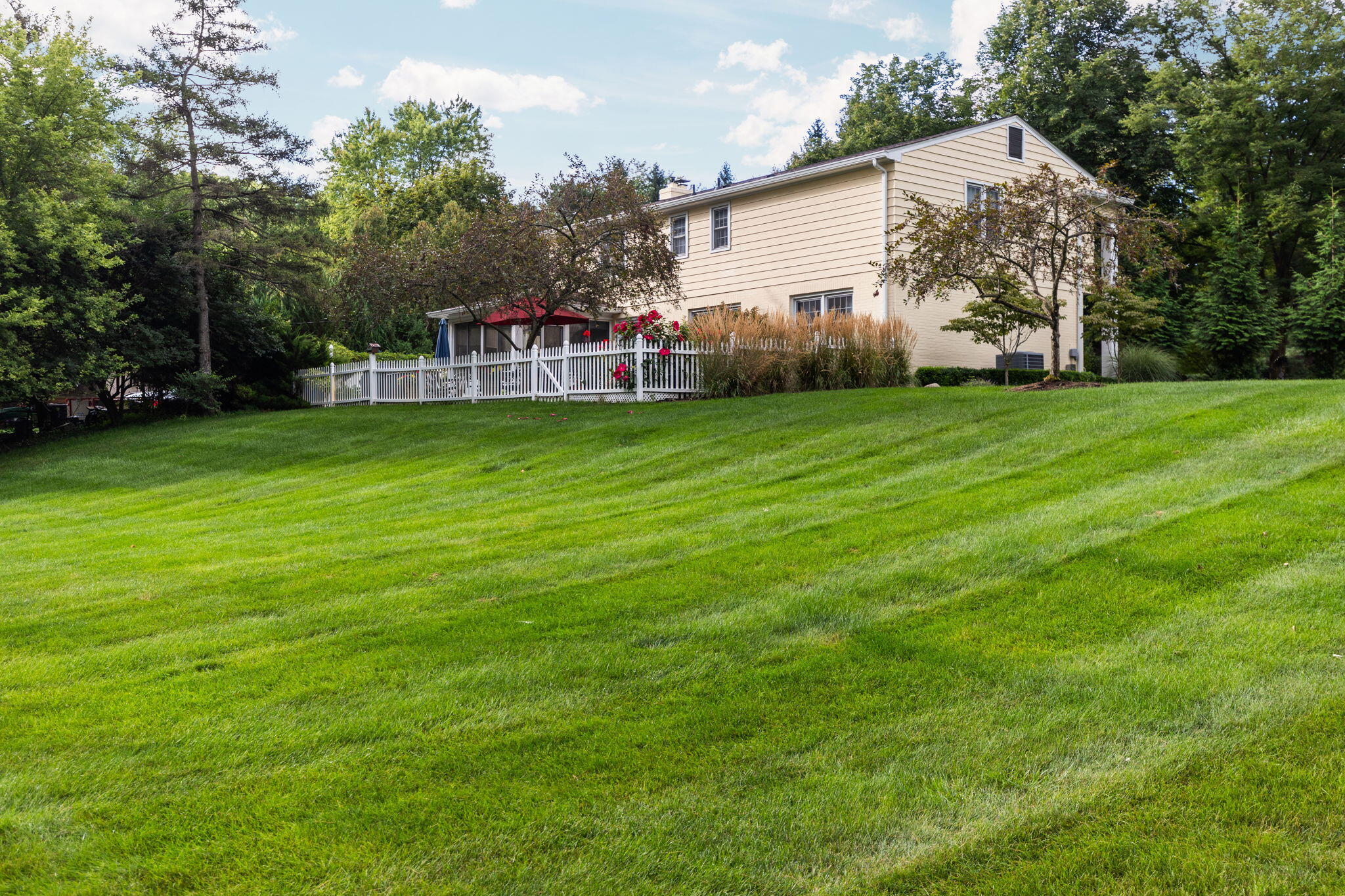 2464 Blueberry Lane