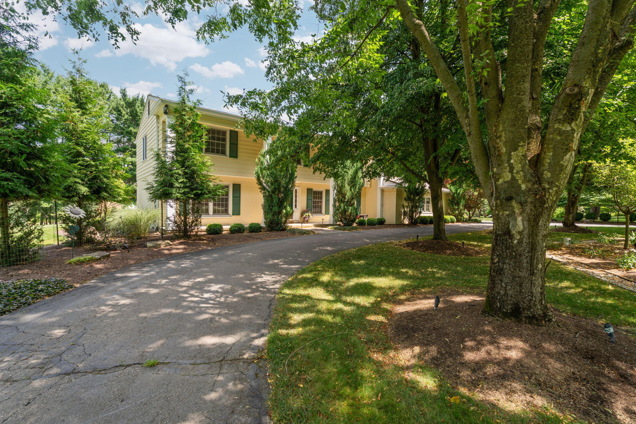 2464 Blueberry Lane